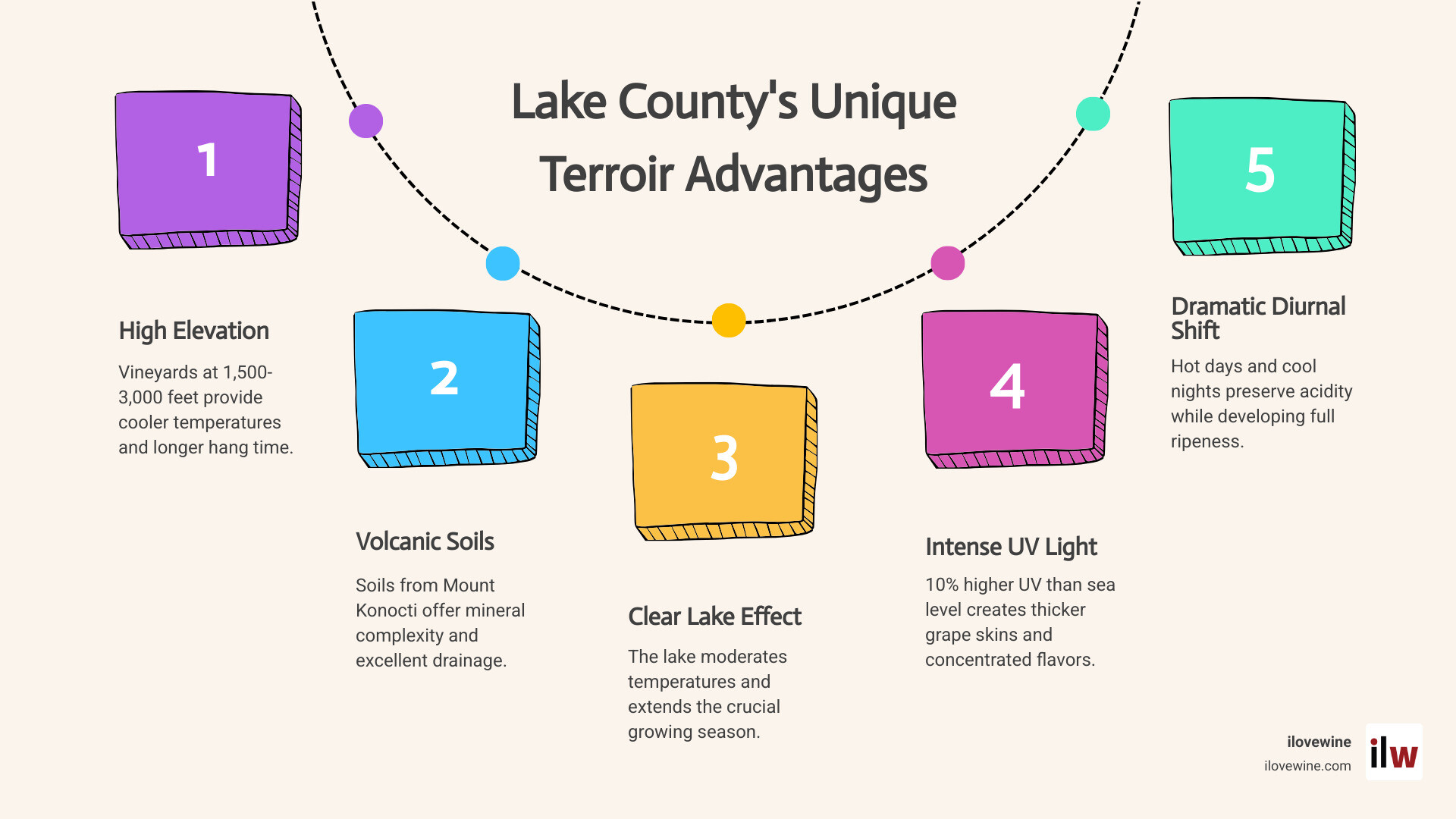 Infographic showing Lake County's unique terroir advantages: High Elevation vineyards at 1,500-3,000 feet for cooler temperatures and longer hang time; Volcanic Soils from Mount Konocti providing mineral complexity and drainage; Clear Lake Effect moderating temperatures and extending growing season; Intense UV Light 10% higher than sea level creating thicker skins and concentrated flavors; Dramatic Diurnal Shift preserving acidity while developing ripeness - Lake County wineries infographic process-5-steps-informal Infographic showing Lake County's unique terroir advantages: High Elevation vineyards at 1,500-3,000 feet for cooler temperatures and longer hang time; Volcanic Soils from Mount Konocti providing mineral complexity and drainage; Clear Lake Effect moderating temperatures and extending growing season; Intense UV Light 10% higher than sea level creating thicker skins and concentrated flavors; Dramatic Diurnal Shift preserving acidity while developing ripeness - Lake County wineries infographic process-5-steps-informal