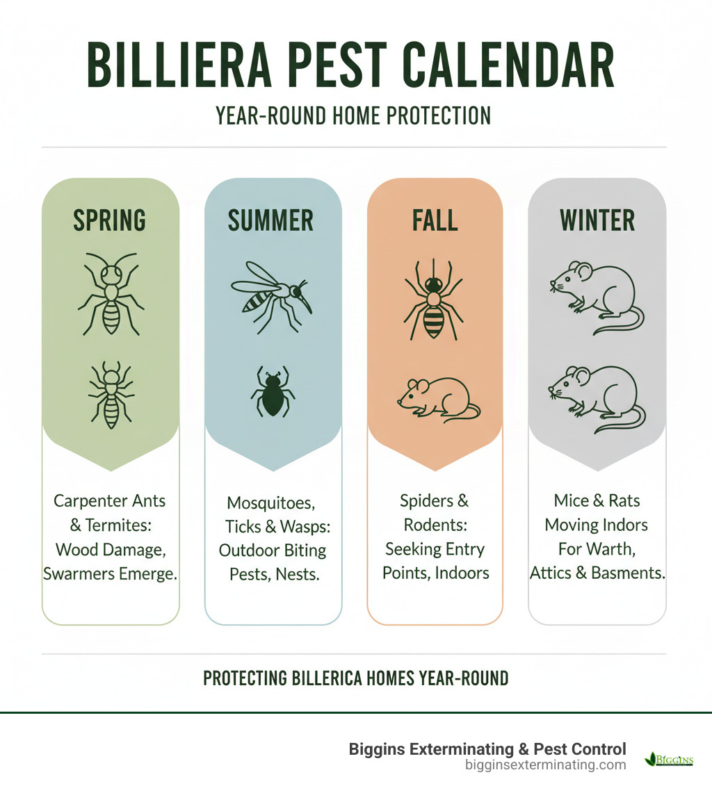 Infographic showing Billerica's seasonal pest calendar with spring carpenter ants and termites, summer mosquitoes ticks and wasps, fall spiders and rodents seeking entry points, and winter mice and rats moving indoors for warmth - billerica ma pest control infographic 