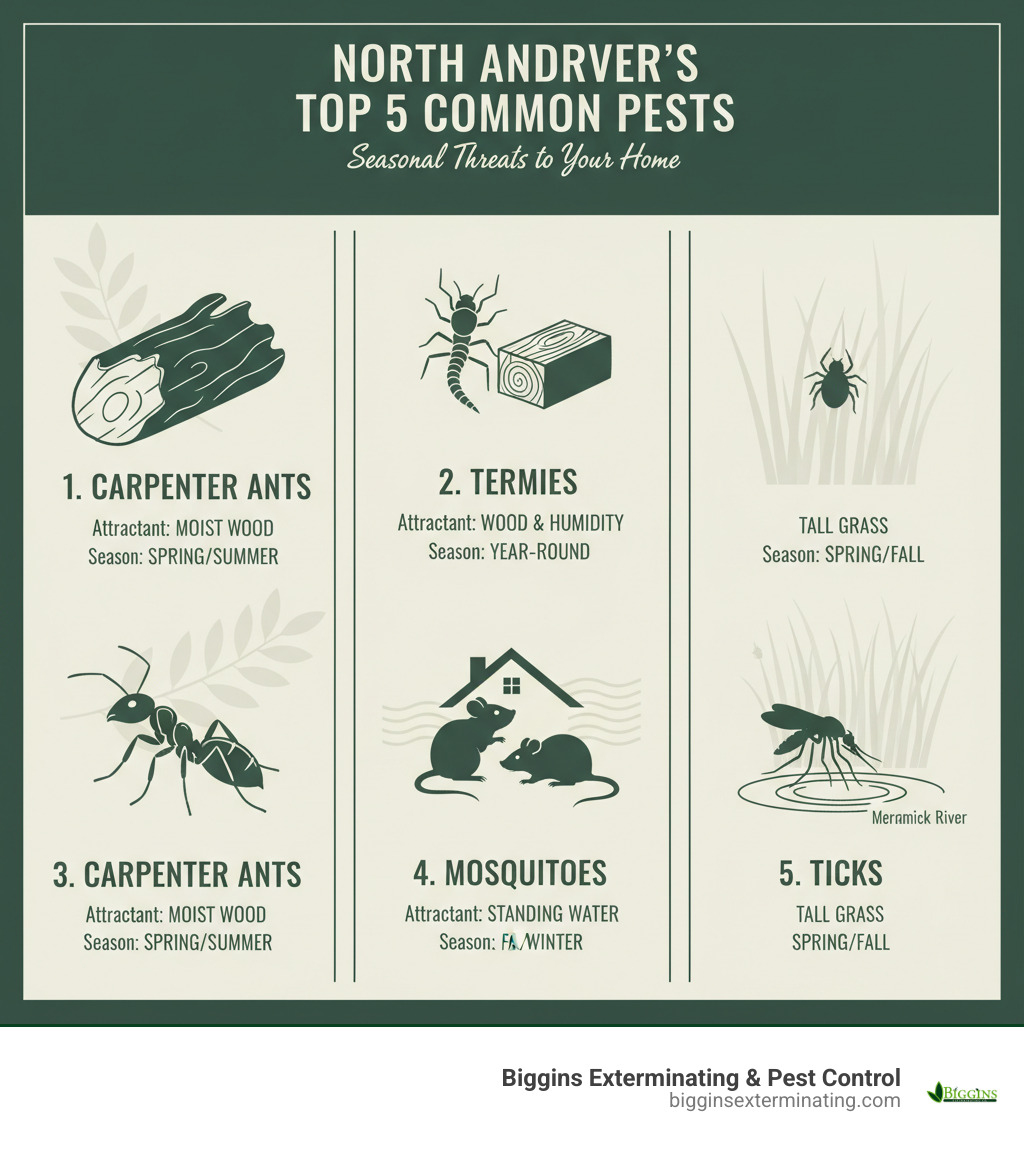 Infographic showing the top 5 most common pests in North Andover: carpenter ants attracted to moist wood in wooded areas, termites drawn to wooden structures and humid conditions, mice and rats seeking warmth and food in fall and winter, mosquitoes breeding in standing water near the Merrimack River and yards, and ticks thriving in tall grass and wooded edges. Each pest is illustrated with its primary attractant and peak season in North Andover's suburban environment. - Pest control North Andover infographic 