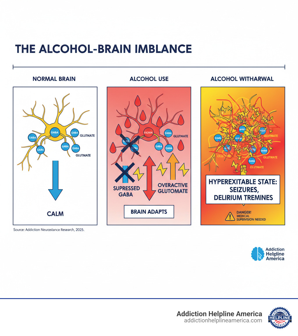 infographic showing the brain's chemical imbalance during alcohol use and withdrawal, depicting GABA receptors being suppressed and glutamate being overproduced, then the dangerous hyperexcitable state that occurs when alcohol is suddenly removed - alcohol withdrawal infographic infographic showing the brain's chemical imbalance during alcohol use and withdrawal, depicting GABA receptors being suppressed and glutamate being overproduced, then the dangerous hyperexcitable state that occurs when alcohol is suddenly removed - alcohol withdrawal infographic