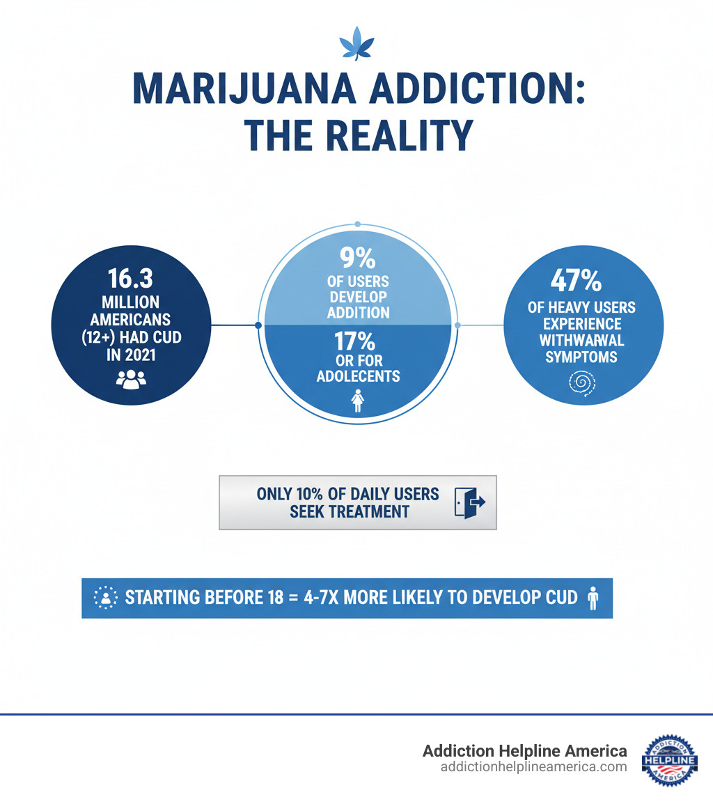 Infographic showing marijuana addiction statistics: 16.3 million Americans aged 12+ had Cannabis Use Disorder in 2021; 9% of marijuana users develop addiction (17% for adolescent users); 47% of heavy users experience withdrawal symptoms; Only 10% of daily cannabis users seek treatment; People starting before age 18 are 4-7x more likely to develop CUD - marijuana addiction treatment infographic Infographic showing marijuana addiction statistics: 16.3 million Americans aged 12+ had Cannabis Use Disorder in 2021; 9% of marijuana users develop addiction (17% for adolescent users); 47% of heavy users experience withdrawal symptoms; Only 10% of daily cannabis users seek treatment; People starting before age 18 are 4-7x more likely to develop CUD - marijuana addiction treatment infographic