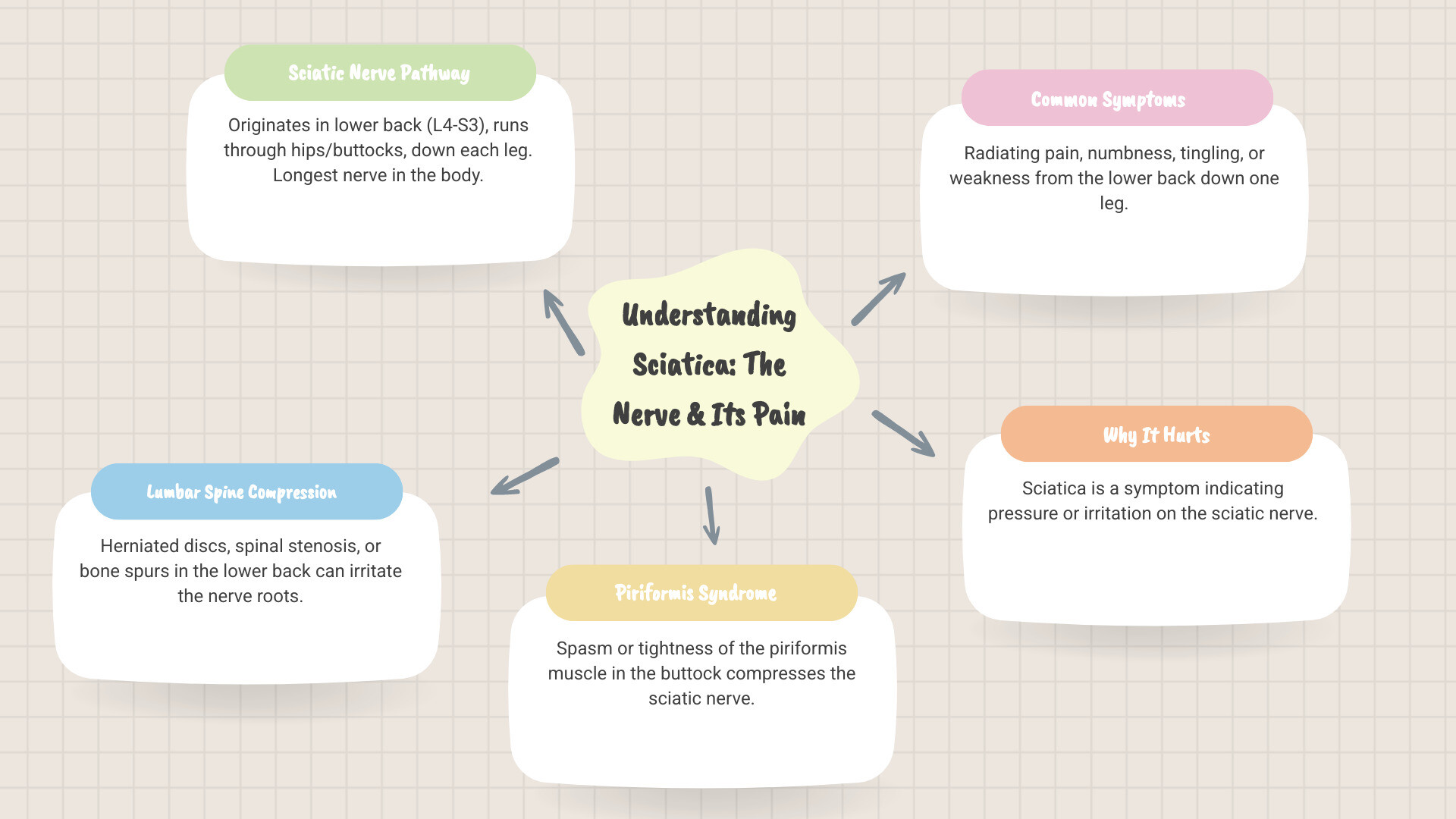 Infographic showing the sciatic nerve pathway from the lower spine through the buttocks and down the back of each leg, with highlighted compression points at the lumbar spine, piriformis muscle, and hamstring areas, plus icons indicating common symptoms like radiating pain, numbness, and tingling - natural remedies for sciatica infographic mindmap-5-items Infographic showing the sciatic nerve pathway from the lower spine through the buttocks and down the back of each leg, with highlighted compression points at the lumbar spine, piriformis muscle, and hamstring areas, plus icons indicating common symptoms like radiating pain, numbness, and tingling - natural remedies for sciatica infographic mindmap-5-items