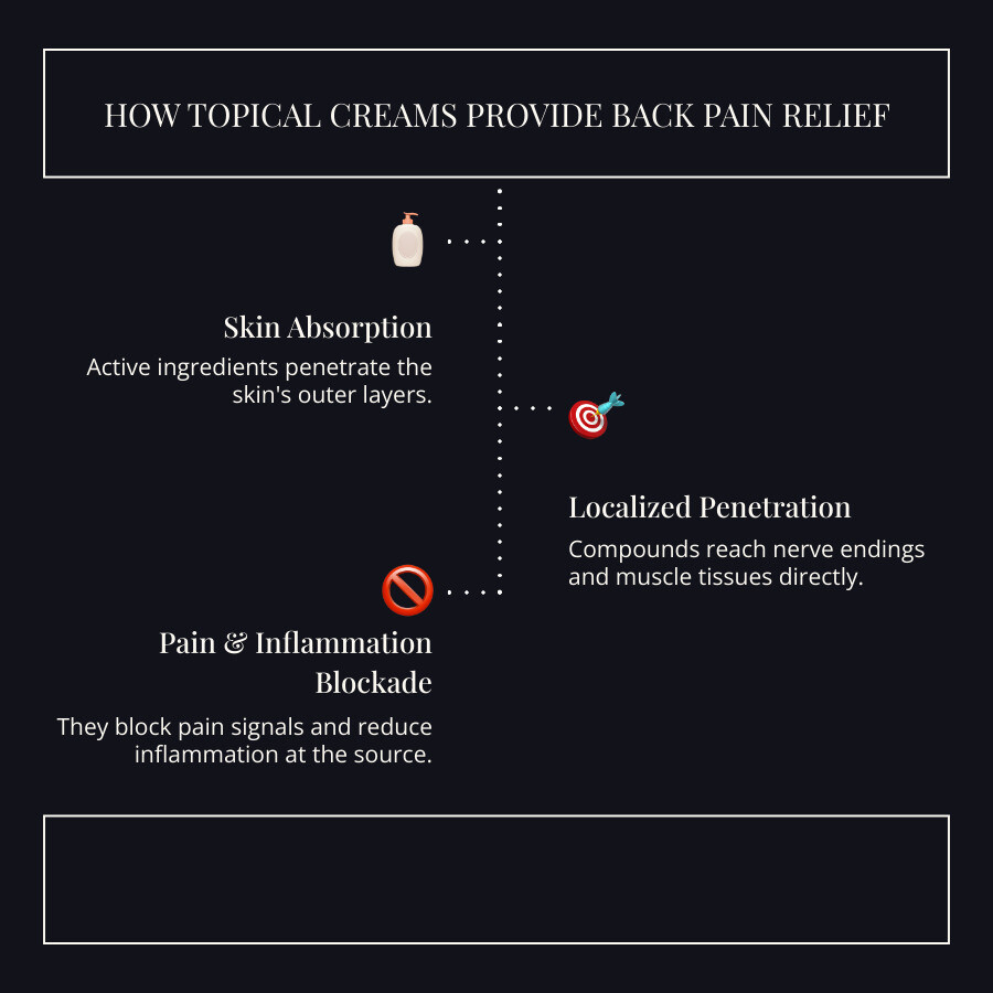 infographic showing how topical pain relief creams are absorbed through the skin layers, penetrate to nerve endings and muscles, and block pain signals while reducing inflammation at the source - pain relief cream for back infographic infographic-line-3-steps-dark