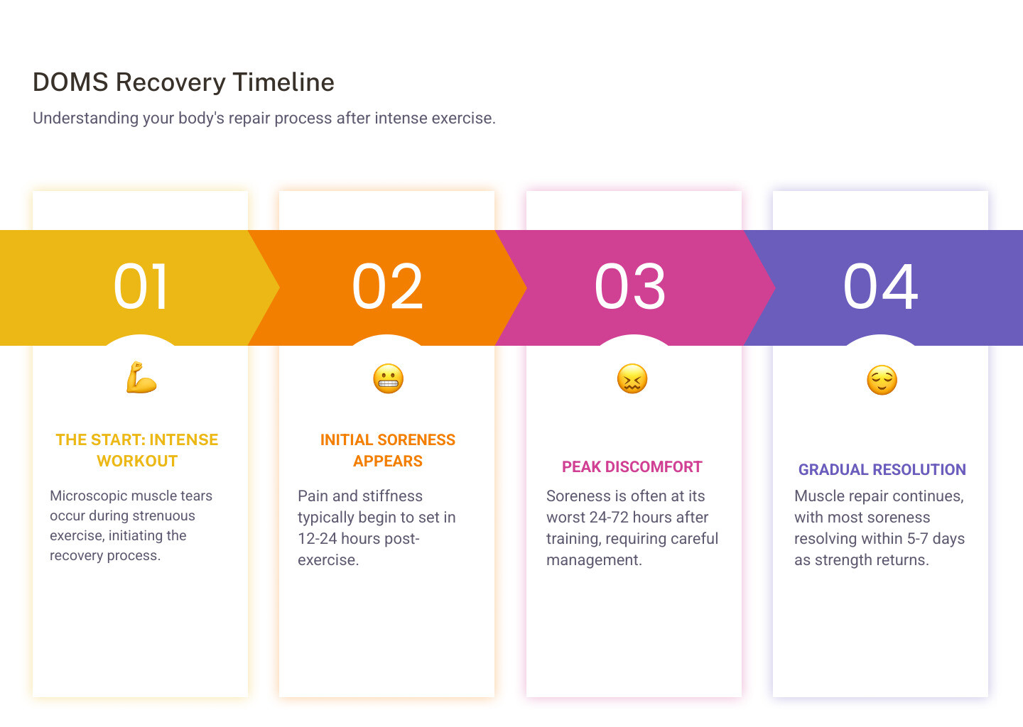 Infographic showing DOMS timeline: Day 0 - Intense workout creates microscopic muscle tears; Hours 12-24 - Initial soreness begins; Hours 24-72 - Peak muscle soreness and stiffness; Days 3-5 - Gradual improvement as muscles repair; Days 5-7 - Most soreness resolves, strength returns - muscle ache recovery infographic pillar-4-steps Infographic showing DOMS timeline: Day 0 - Intense workout creates microscopic muscle tears; Hours 12-24 - Initial soreness begins; Hours 24-72 - Peak muscle soreness and stiffness; Days 3-5 - Gradual improvement as muscles repair; Days 5-7 - Most soreness resolves, strength returns - muscle ache recovery infographic pillar-4-steps