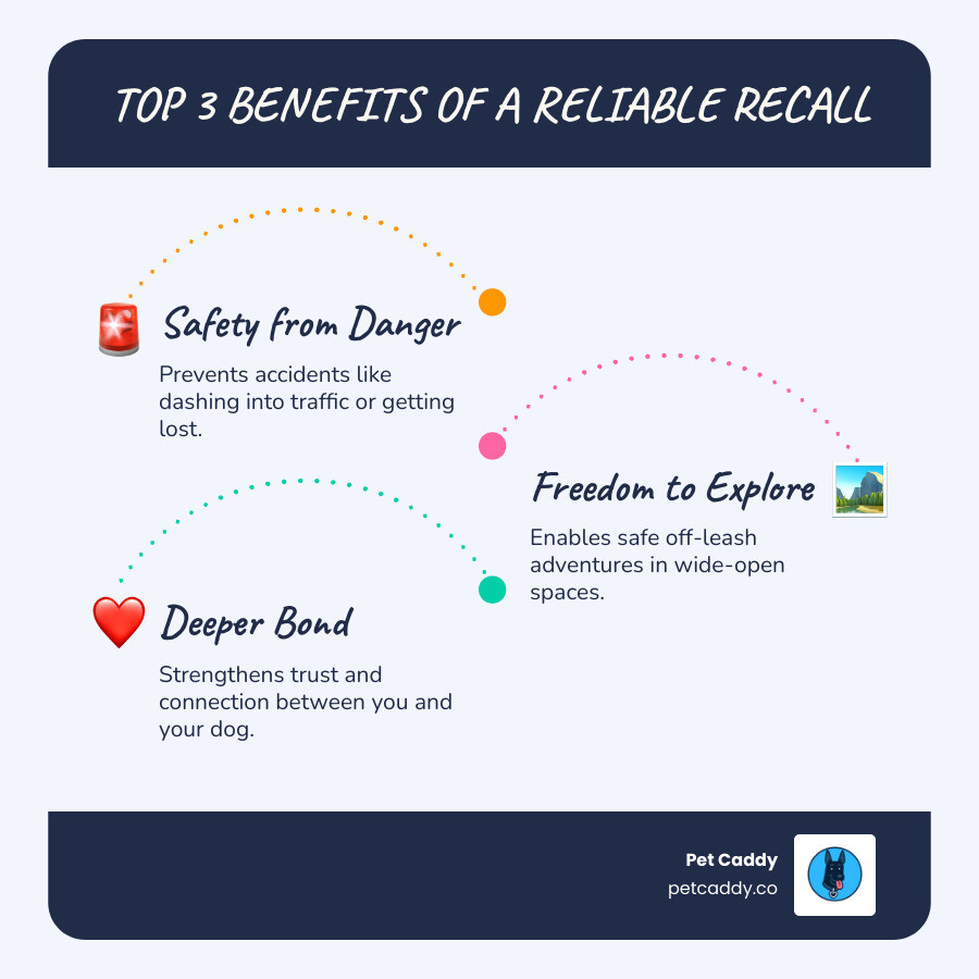 infographic showing three benefits of reliable recall: safety from danger with icon of dog near road, freedom to explore with icon of dog running in open space, deeper bond with icon of happy owner and dog together - Teach dog come infographic infographic-line-3-steps-blues-accent_colors infographic showing three benefits of reliable recall: safety from danger with icon of dog near road, freedom to explore with icon of dog running in open space, deeper bond with icon of happy owner and dog together - Teach dog come infographic infographic-line-3-steps-blues-accent_colors