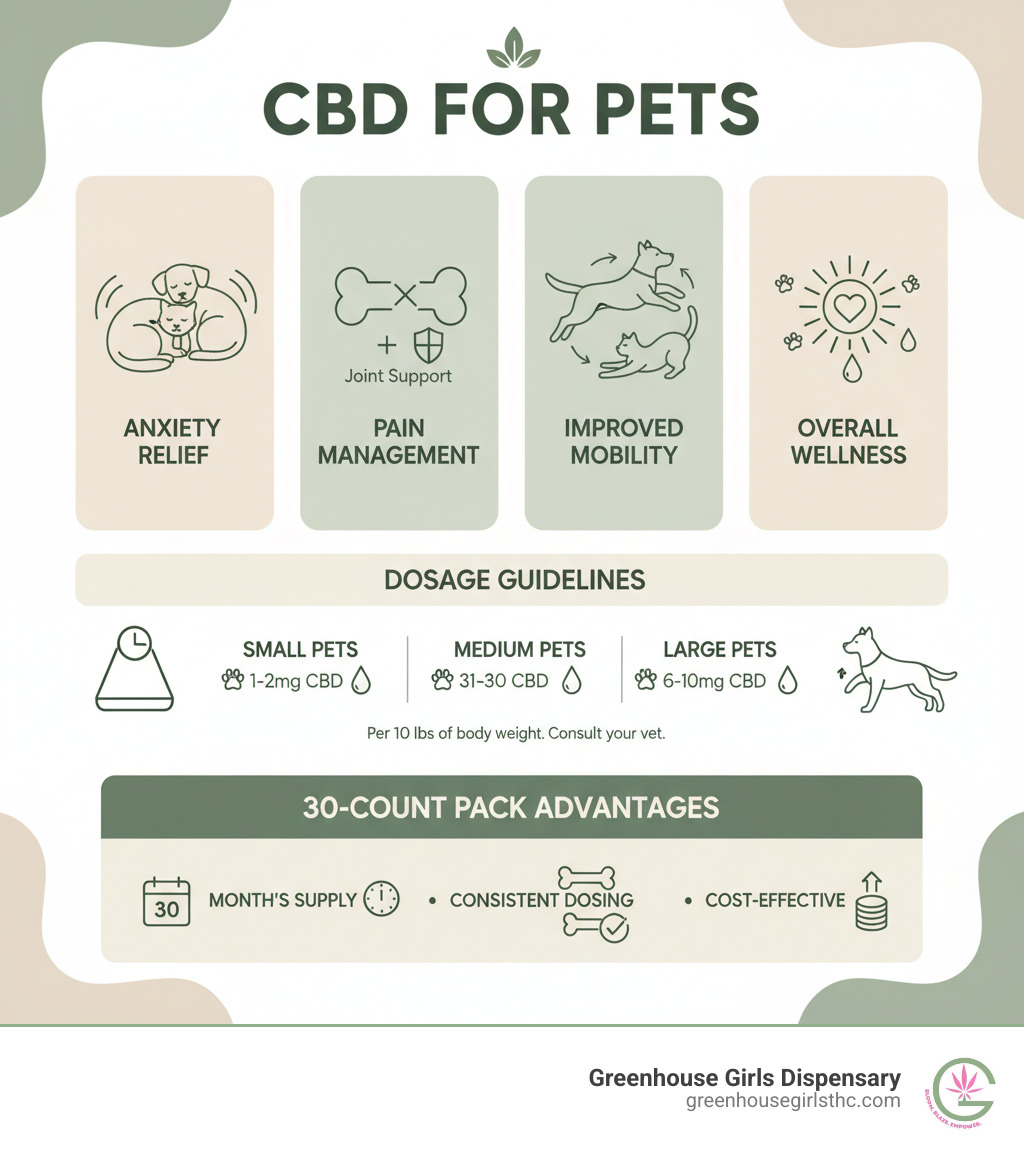 infographic showing the benefits of CBD for pets including anxiety relief, pain management, improved mobility, and overall wellness support, with dosage guidelines based on pet weight and a breakdown of 30-count packaging advantages - 30 pack beef flavored cbd pet treats infographic 