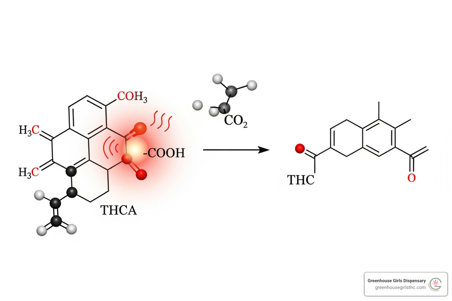 decarboxylation process showing a carboxyl group breaking off the THCA molecule - thc vs thca