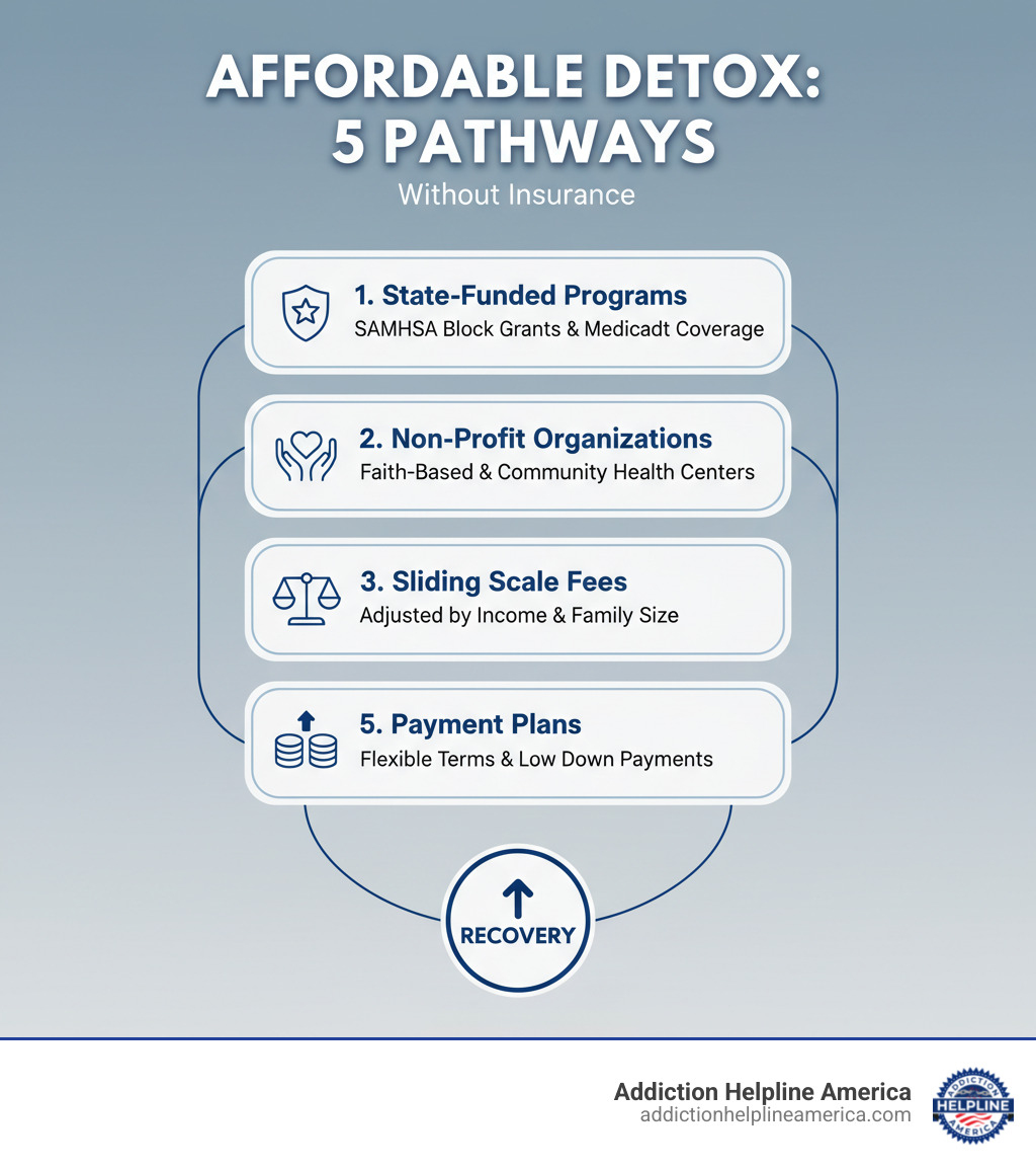 Infographic showing 5 pathways to affordable detox: 1. State-Funded Programs with SAMHSA block grants and Medicaid coverage, 2. Non-Profit Organizations including faith-based and community health centers, 3. Sliding Scale Fees adjusted by income level and family size, 4. Grants and Scholarships from federal sources and treatment facilities, 5. Payment Plans with flexible terms and low down payments - detox without insurance infographic 