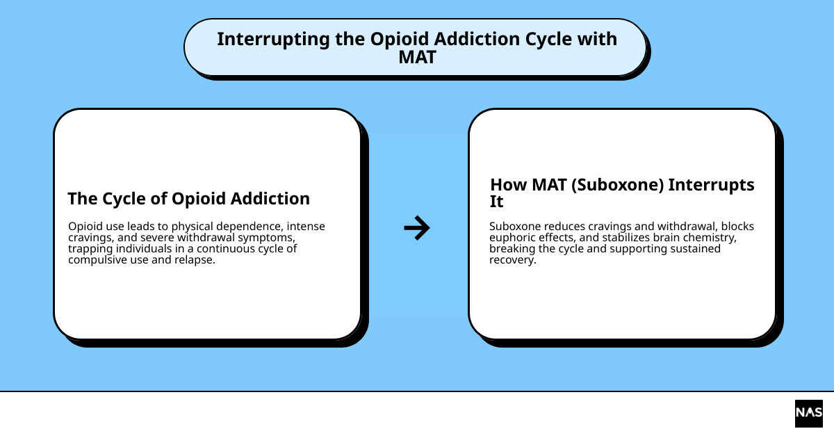 infographic explaining the cycle of opioid addiction and how MAT interrupts it - Suboxone treatment information infographic cause_effect_text