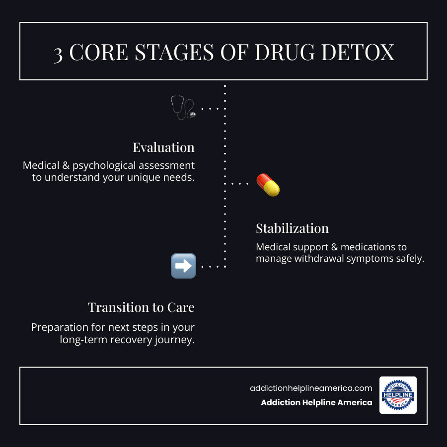 Infographic detailing the three core stages of professional drug detox: Evaluation, Stabilization, and Transition to Care - drug detox programs infographic infographic-line-3-steps-dark
