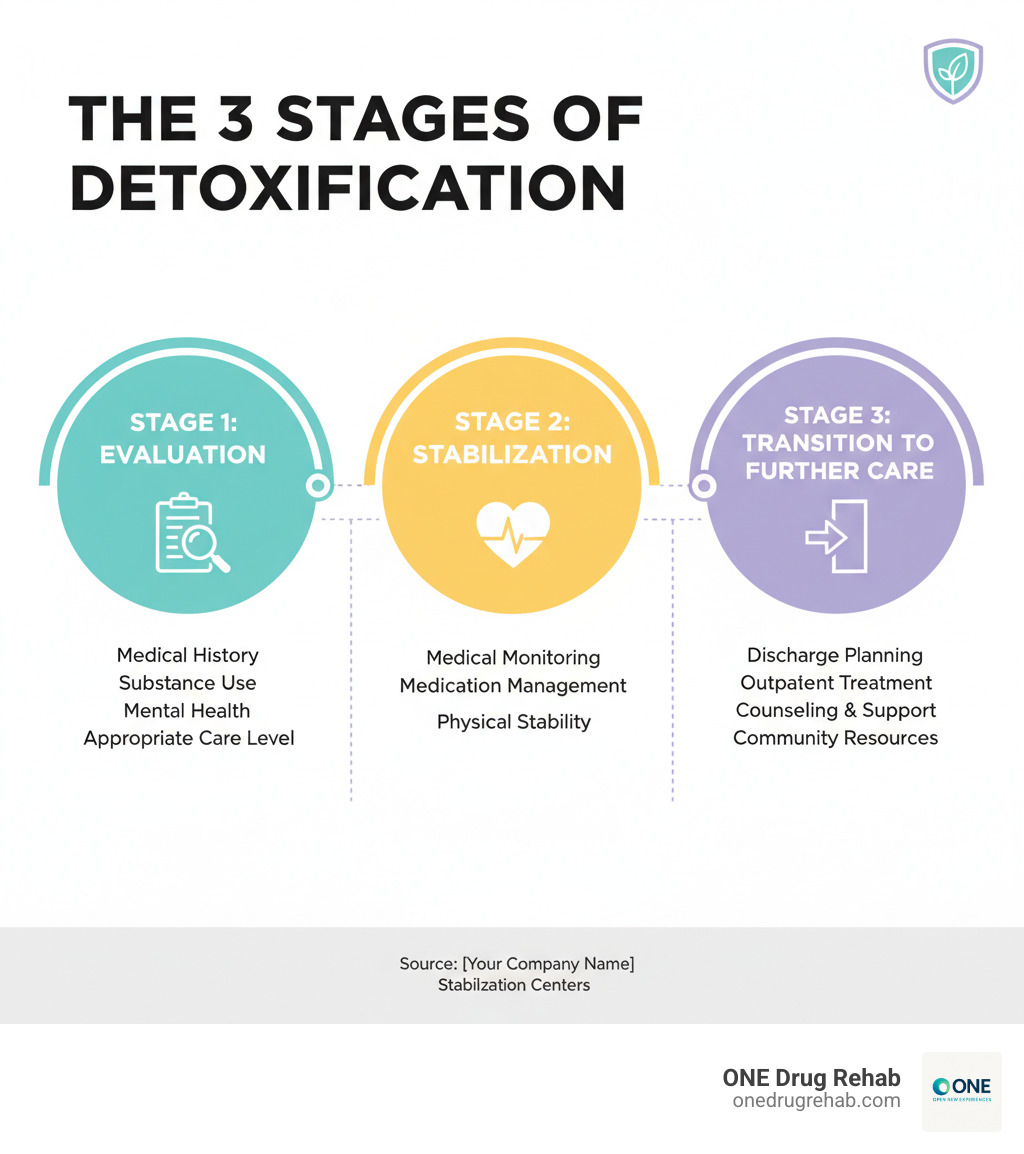 Infographic showing the 3 stages of detoxification: Stage 1 - Evaluation (comprehensive assessment of medical history, substance use, and mental health to determine appropriate level of care), Stage 2 - Stabilization (medical monitoring and medication management to safely manage withdrawal symptoms and achieve physical stability), Stage 3 - Transition to Further Care (discharge planning and connection to outpatient treatment, counseling, peer support, and community resources for ongoing recovery) - detox stabilization centers infographic 