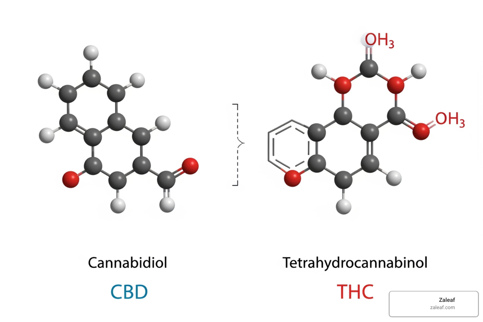 molecular structures of CBD and THC - cannabis oils for mood