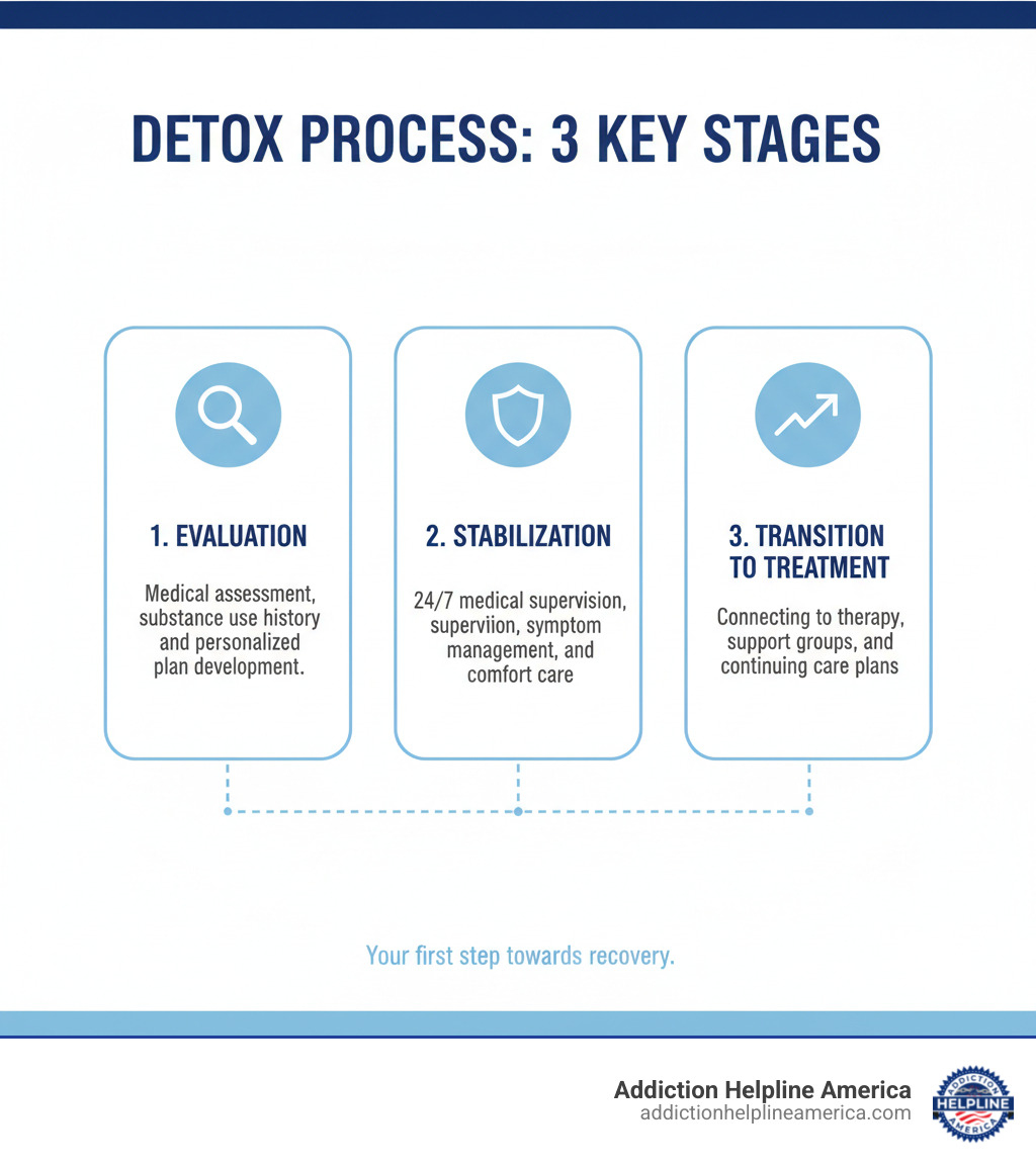 Infographic detailing the three main stages of the detox process: Evaluation, Stabilization, and Transition to Treatment, with a brief description for each stage. - What should I expect during the detox process? infographic 