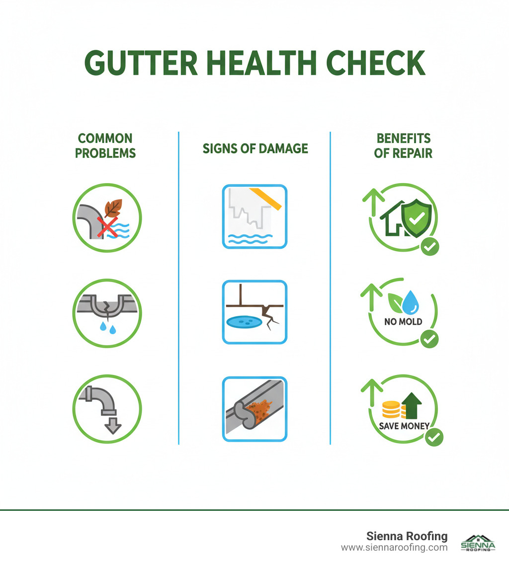 Infographic detailing common gutter problems, signs of damage, and benefits of timely repair - local gutter repair infographic 
