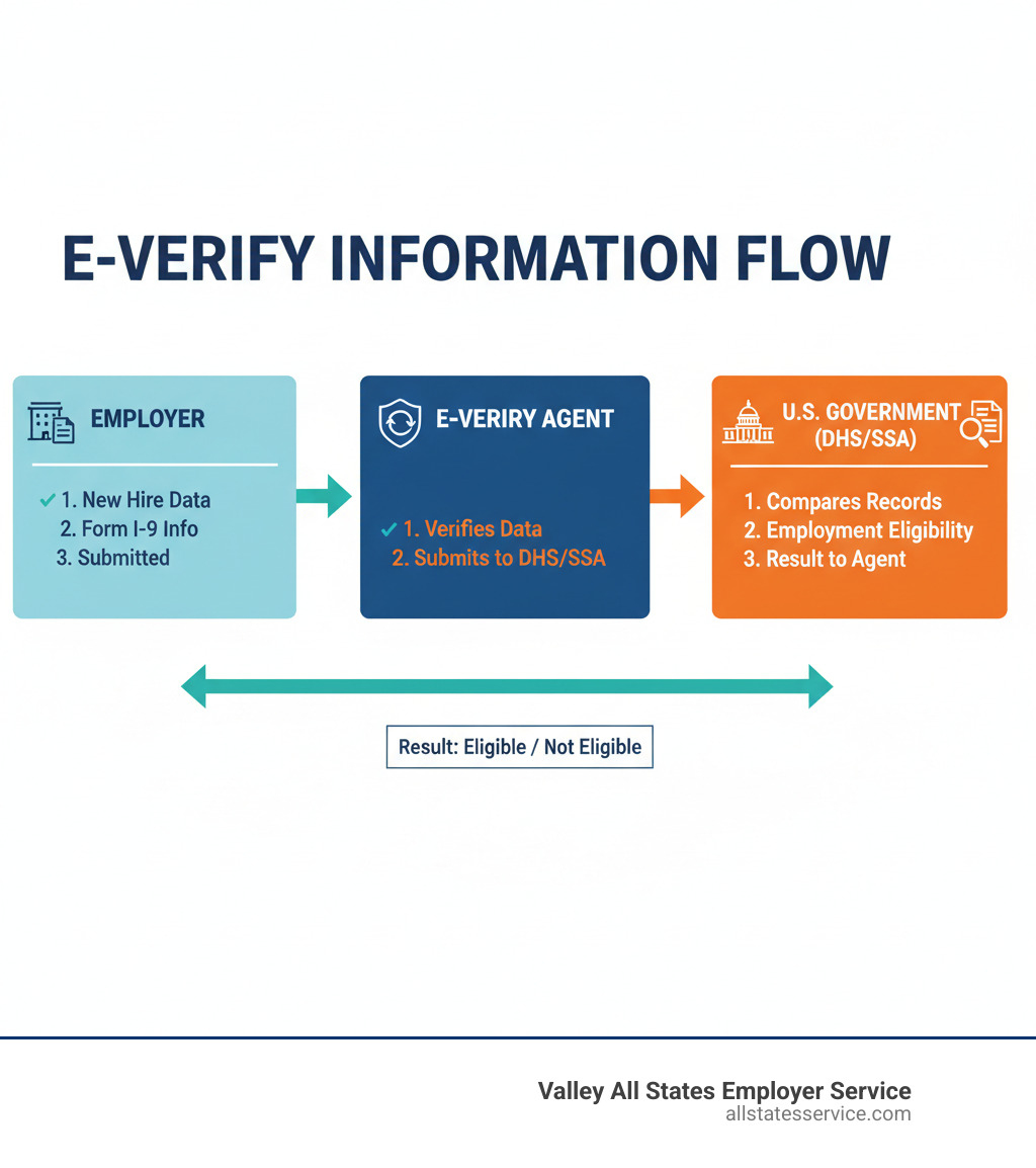 Infographic explaining the flow of information from an employer to an E-Verify Agent to the government - what is an e verify employer agent infographic Infographic explaining the flow of information from an employer to an E-Verify Agent to the government - what is an e verify employer agent infographic