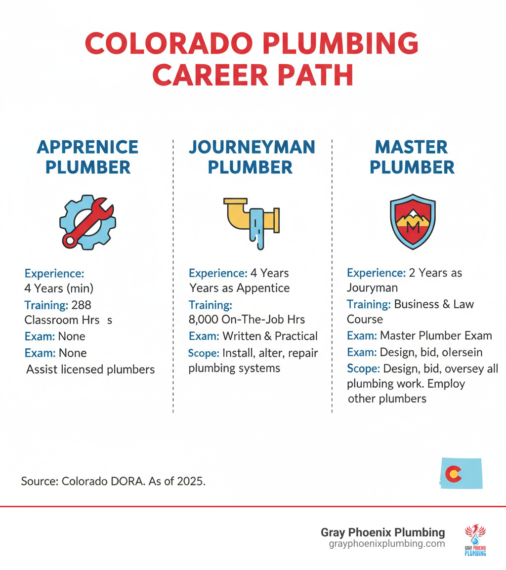 Infographic showing the career path from apprentice plumber to journeyman plumber to master plumber in Colorado, including required years of experience, training hours, exam requirements, and scope of work at each level - master plumber denver infographic 