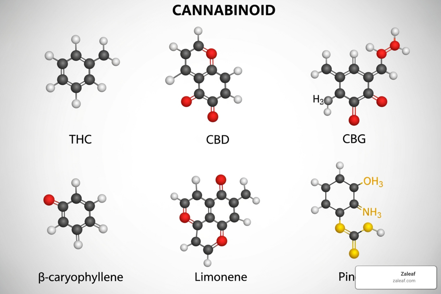 Cannabinoid and terpene molecules - Sativa vape effects