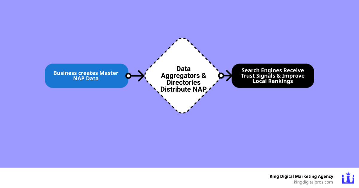 Infographic Showing How Local Citation Building Works: Business Creates Master Nap Data, Submits To Data Aggregators (Neustar Localeze, Factual, Infogroup), Which Distribute To Major Directories (Google, Yelp, Facebook, Bing), Industry-Specific Platforms, And Review Sites, All Feeding Back Trust Signals To Search Engines That Improve Local Rankings - Local Citation Building Infographic Flowmap_Simple