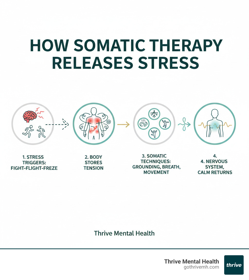 Infographic showing how somatic therapy for stress works: 1) Stress triggers fight-flight-freeze in the nervous system, 2) Body stores tension in muscles and organs, 3) Somatic therapy uses grounding, breathwork, and movement to release trapped stress, 4) Nervous system resets, symptoms improve - somatic therapy for stress infographic 