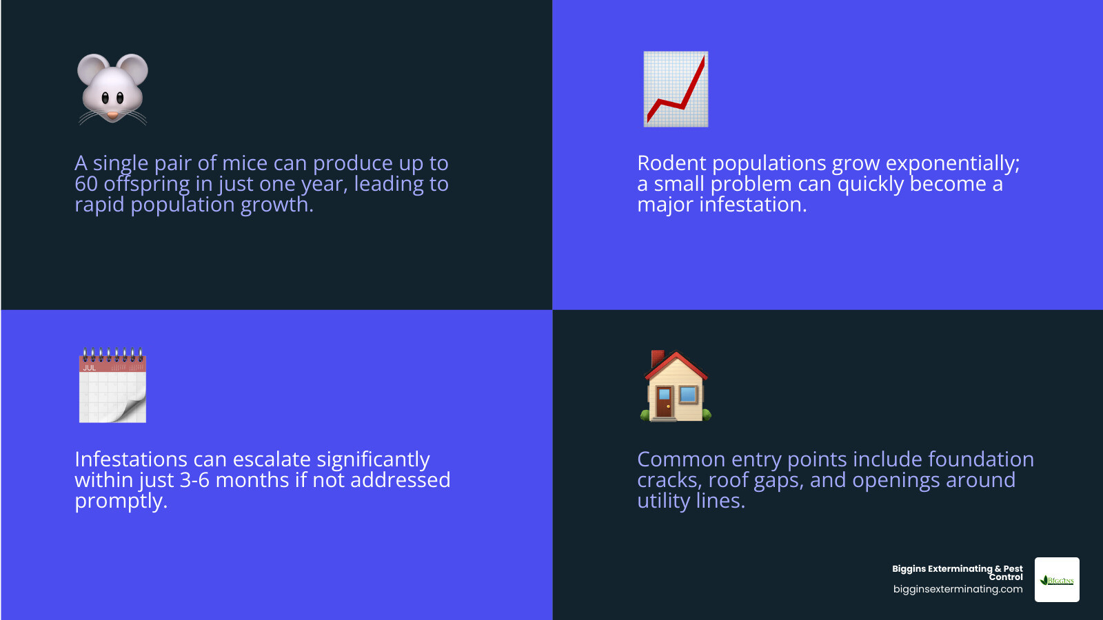 infographic showing rodent reproduction rates: one pair of mice can produce 60 offspring per year, with population growing exponentially if left unchecked; includes timeline showing population growth over 3-6 months and common seasonal entry points like foundation cracks, roof gaps, and utility line openings - Rodent exterminator cost infographic 4_facts_emoji_blue
