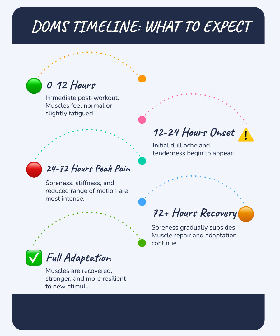 infographic showing DOMS timeline from 0 hours post-workout through 12-24 hours onset, 24-72 hours peak pain, and gradual recovery phase with key symptoms at each stage - help muscle soreness after workout infographic infographic-line-5-steps-blues-accent_colors