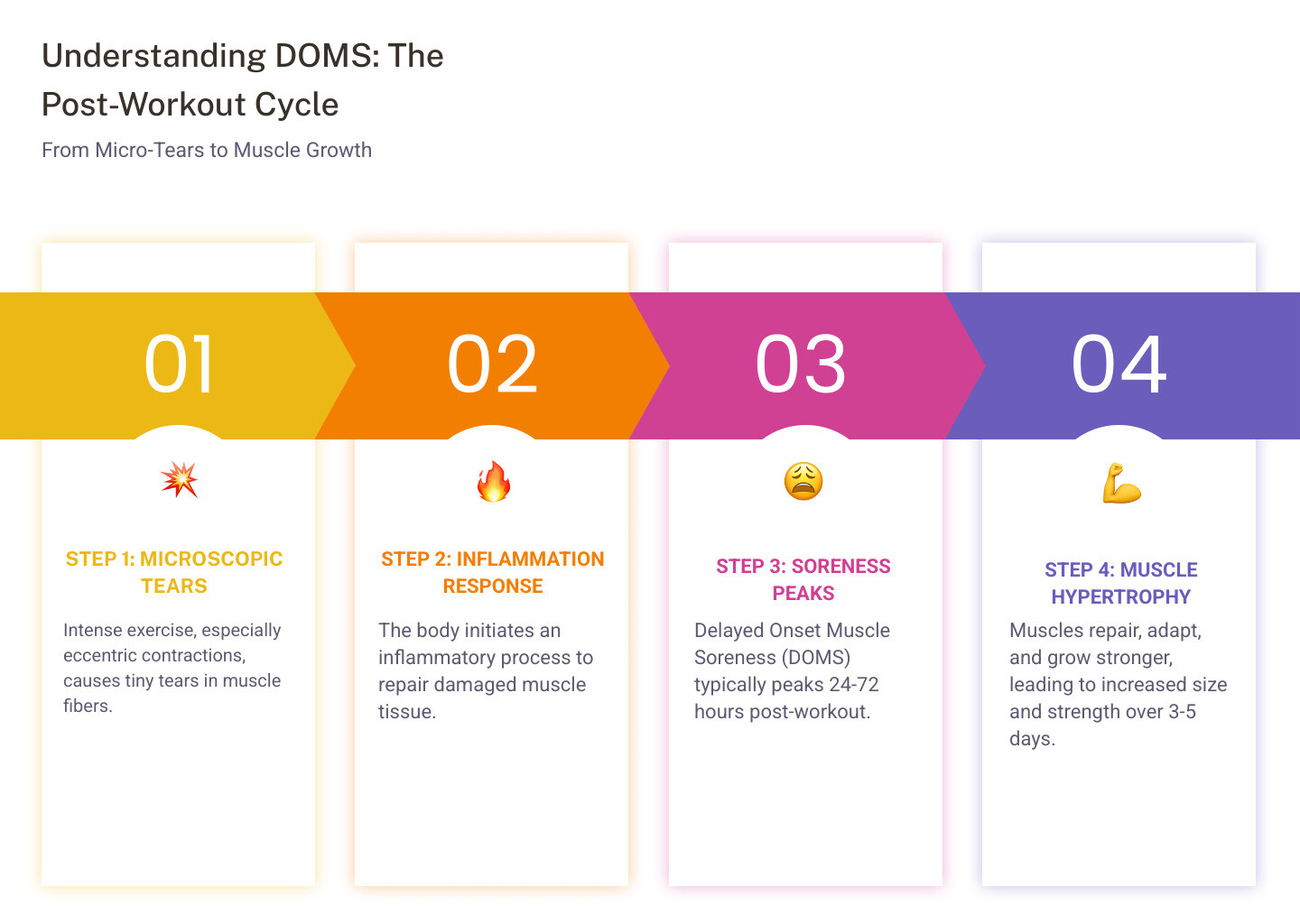 infographic showing the timeline of DOMS from 0-72 hours post-workout, with microscopic muscle tear illustrations, inflammation markers, and the muscle repair and growth process over 3-5 days - recovery from leg day infographic pillar-4-steps infographic showing the timeline of DOMS from 0-72 hours post-workout, with microscopic muscle tear illustrations, inflammation markers, and the muscle repair and growth process over 3-5 days - recovery from leg day infographic pillar-4-steps