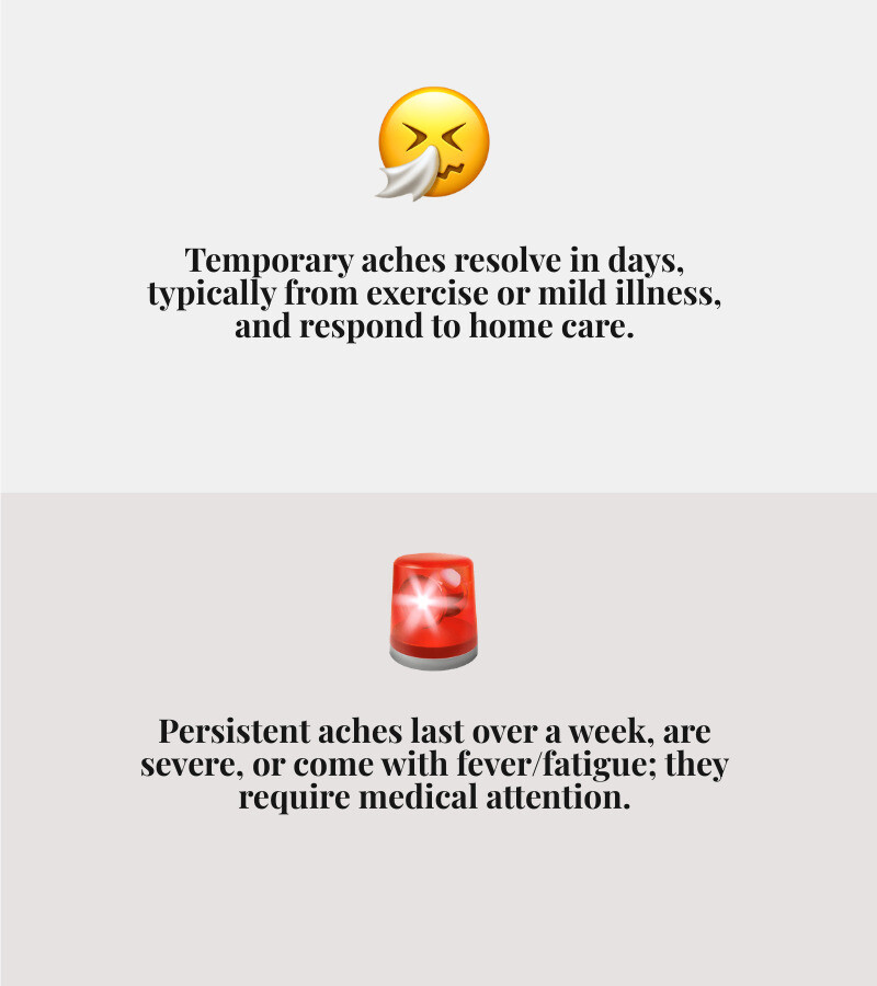 infographic showing the difference between temporary body aches from exercise or mild illness versus persistent aches requiring medical attention, including timelines for when to rest at home versus when to see a doctor, with visual icons for common symptoms - whole body is sore infographic 2_facts_emoji_grey infographic showing the difference between temporary body aches from exercise or mild illness versus persistent aches requiring medical attention, including timelines for when to rest at home versus when to see a doctor, with visual icons for common symptoms - whole body is sore infographic 2_facts_emoji_grey
