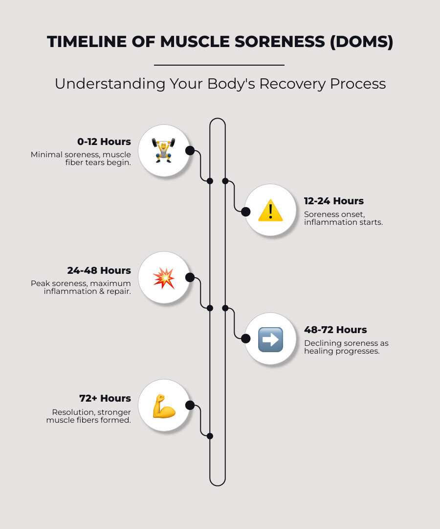 Infographic showing the timeline of muscle soreness: 0-12 hours post-workout shows minimal soreness with muscle fiber tears beginning; 12-24 hours shows soreness onset with inflammation starting; 24-48 hours displays peak soreness with maximum inflammation and repair activity; 48-72 hours indicates declining soreness as healing progresses; 72+ hours shows resolution with stronger muscle fibers formed - Soreness after workout infographic infographic-line-5-steps-elegant_beige Infographic showing the timeline of muscle soreness: 0-12 hours post-workout shows minimal soreness with muscle fiber tears beginning; 12-24 hours shows soreness onset with inflammation starting; 24-48 hours displays peak soreness with maximum inflammation and repair activity; 48-72 hours indicates declining soreness as healing progresses; 72+ hours shows resolution with stronger muscle fibers formed - Soreness after workout infographic infographic-line-5-steps-elegant_beige