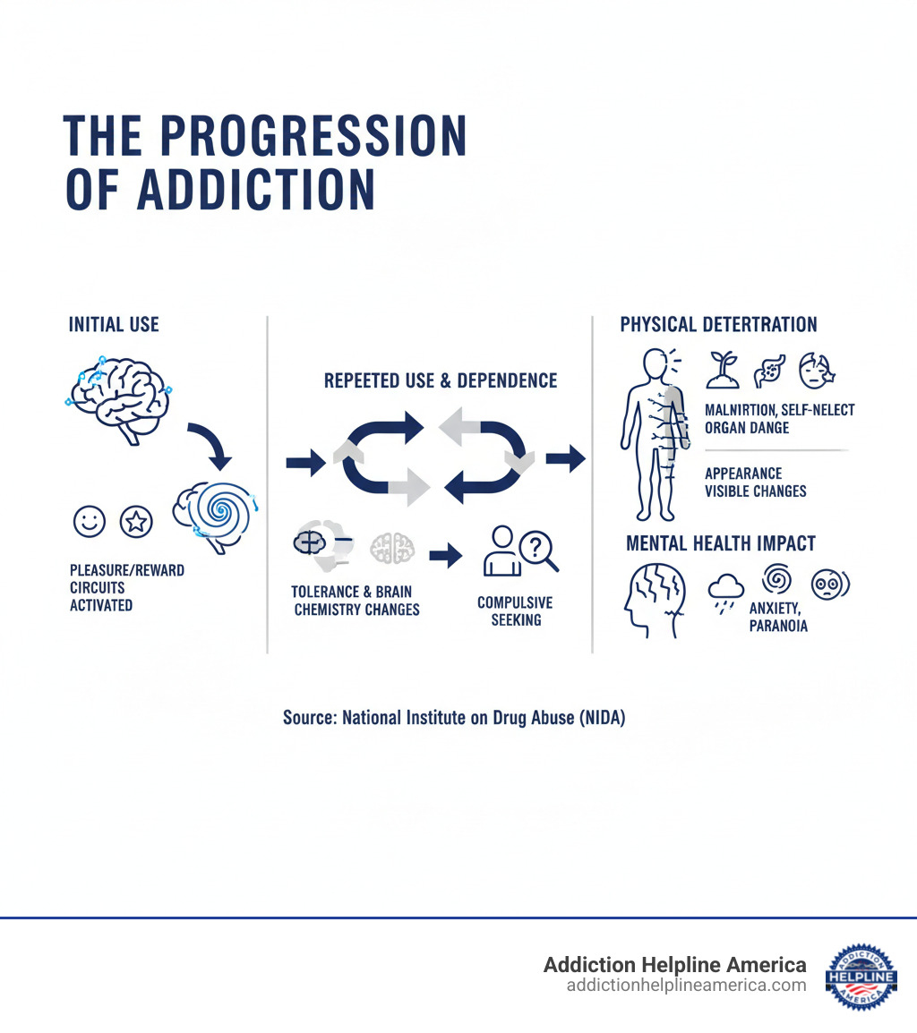 Infographic showing the progression of addiction: initial drug use triggers pleasure/reward circuits in the brain, leading to repeated use and tolerance, which causes brain chemistry changes and compulsive seeking behavior, resulting in physical deterioration including malnutrition, self-neglect, organ damage, and visible appearance changes, while simultaneously impacting mental health through depression, anxiety, and paranoia - people before and after drugs infographic 