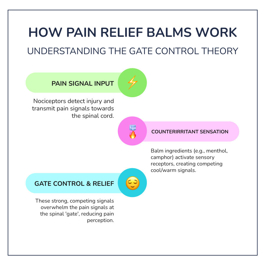 infographic showing Gate Control Theory of Pain with counterirritant mechanism, depicting how cooling and warming sensations block pain signals at the spinal cord level, illustrated with nerve pathways and sensory receptors - best balm for pain relief infographic infographic-line-3-steps-colors infographic showing Gate Control Theory of Pain with counterirritant mechanism, depicting how cooling and warming sensations block pain signals at the spinal cord level, illustrated with nerve pathways and sensory receptors - best balm for pain relief infographic infographic-line-3-steps-colors
