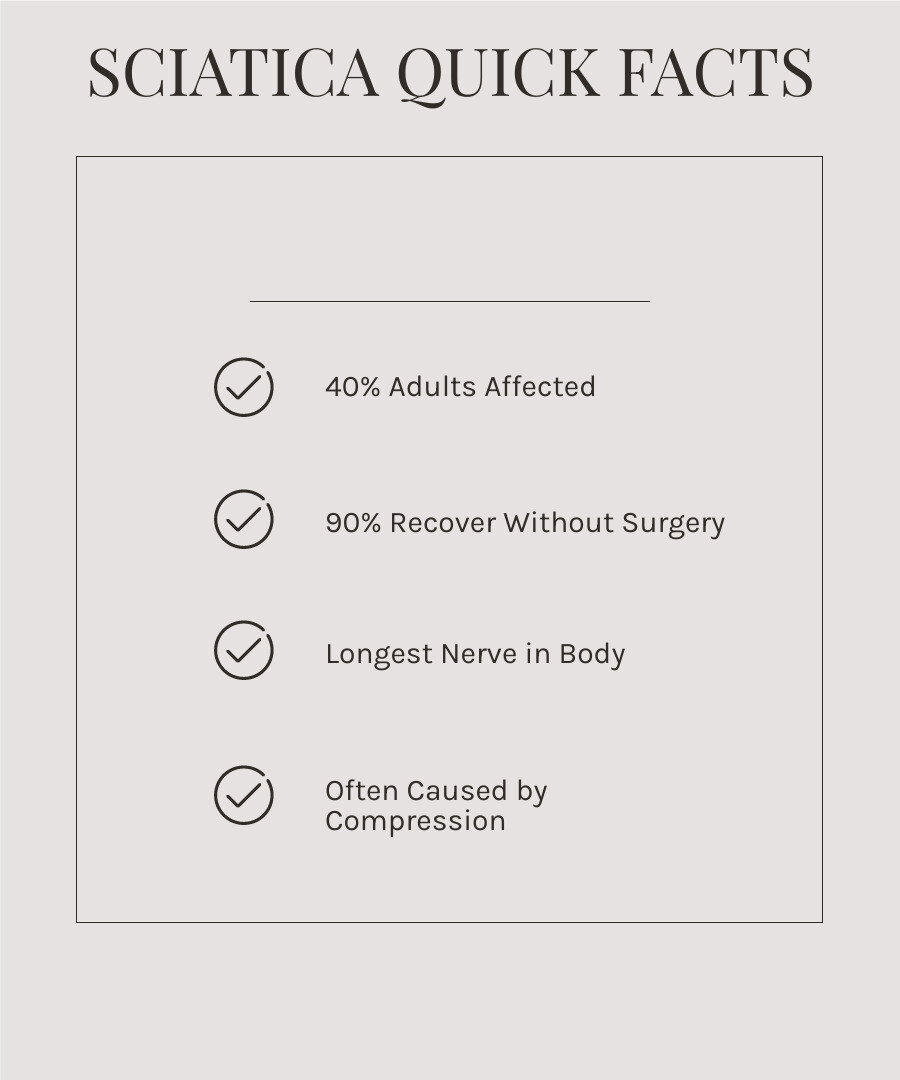 infographic showing the path of the sciatic nerve from the lower spine (L4-S3 nerve roots) through the buttocks and down the back of the leg to the foot, with highlighted areas indicating common pain zones and compression points - How to treat sciatica? infographic checklist-light-beige infographic showing the path of the sciatic nerve from the lower spine (L4-S3 nerve roots) through the buttocks and down the back of the leg to the foot, with highlighted areas indicating common pain zones and compression points - How to treat sciatica? infographic checklist-light-beige