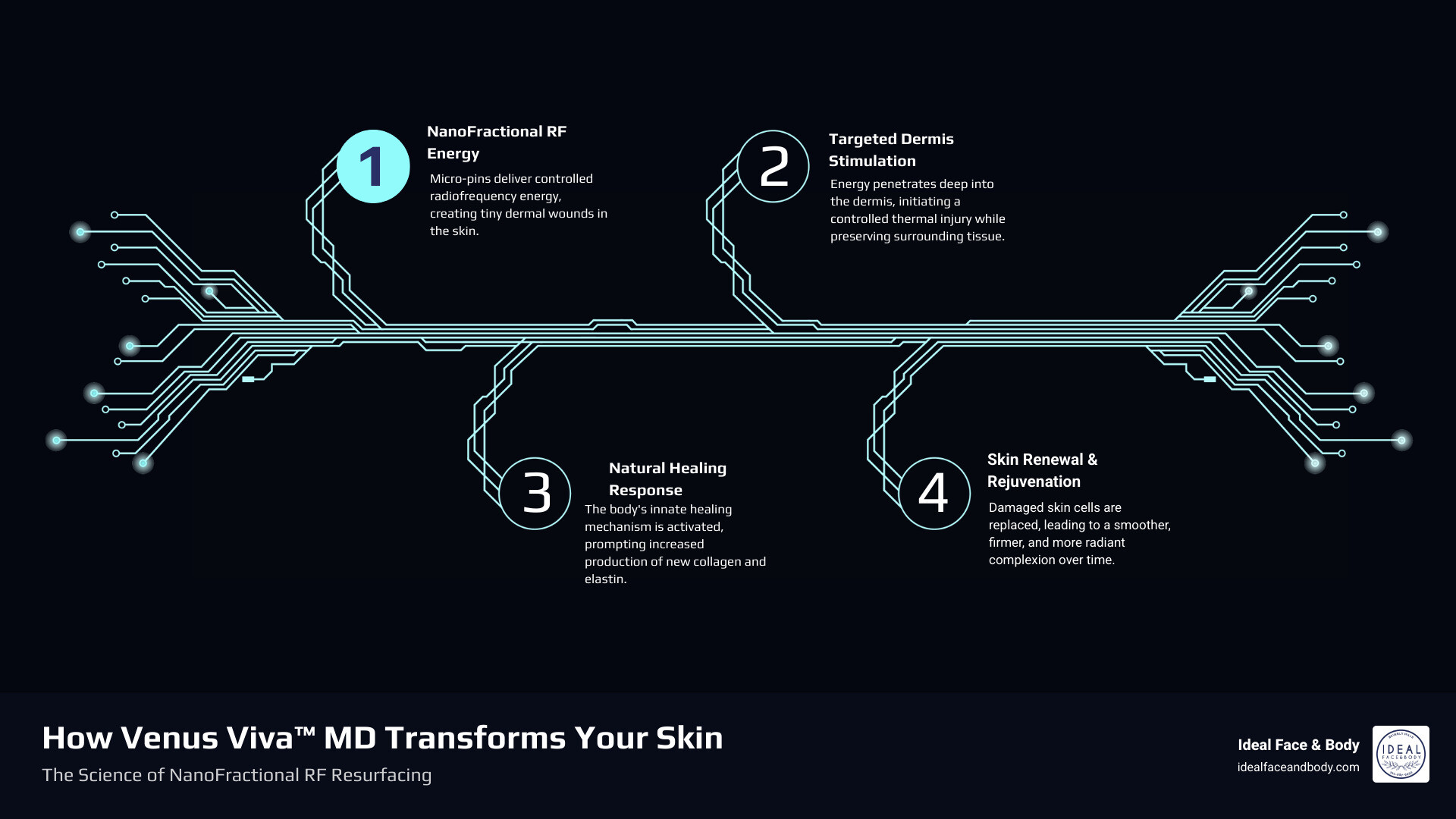 Detailed infographic showing Venus Viva NanoFractional RF technology penetrating skin layers, creating micro-dermal wounds in the dermis while leaving surrounding tissue intact, triggering collagen and elastin production through the body's natural healing response, with treatment depth indicators and healing timeline - Venus Viva before after infographic infographic-4-steps-tech Detailed infographic showing Venus Viva NanoFractional RF technology penetrating skin layers, creating micro-dermal wounds in the dermis while leaving surrounding tissue intact, triggering collagen and elastin production through the body's natural healing response, with treatment depth indicators and healing timeline - Venus Viva before after infographic infographic-4-steps-tech