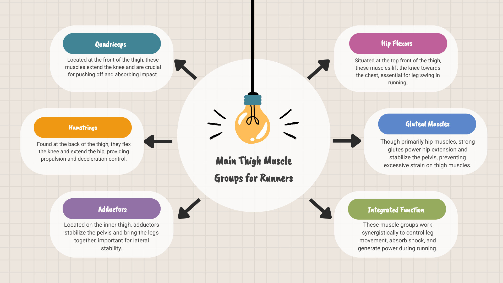 Infographic explaining the main muscle groups of the thigh: Quadriceps, Hamstrings, and Adductors. - thighs hurt after running infographic brainstorm-6-items Infographic explaining the main muscle groups of the thigh: Quadriceps, Hamstrings, and Adductors. - thighs hurt after running infographic brainstorm-6-items