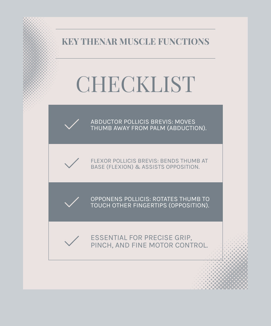 infographic showing the thenar muscles' key functions including thumb opposition for gripping objects, pinching movements for fine motor control, and palmar abduction for spreading the thumb away from the hand, with arrows indicating these movements and labels for each of the three thenar muscles - thenar muscle pain infographic checklist-light-blue-grey