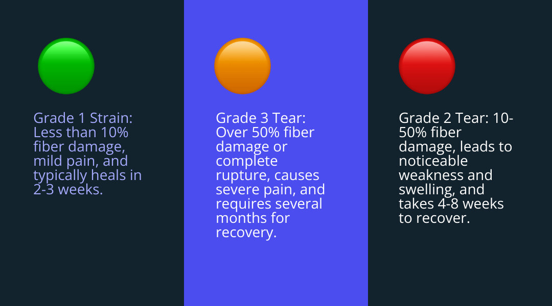infographic showing three grades of trapezius muscle tears with percentage of fibers affected, symptoms, and typical recovery timelines for each grade - torn trap muscle treatment infographic 3_facts_emoji_blue infographic showing three grades of trapezius muscle tears with percentage of fibers affected, symptoms, and typical recovery timelines for each grade - torn trap muscle treatment infographic 3_facts_emoji_blue