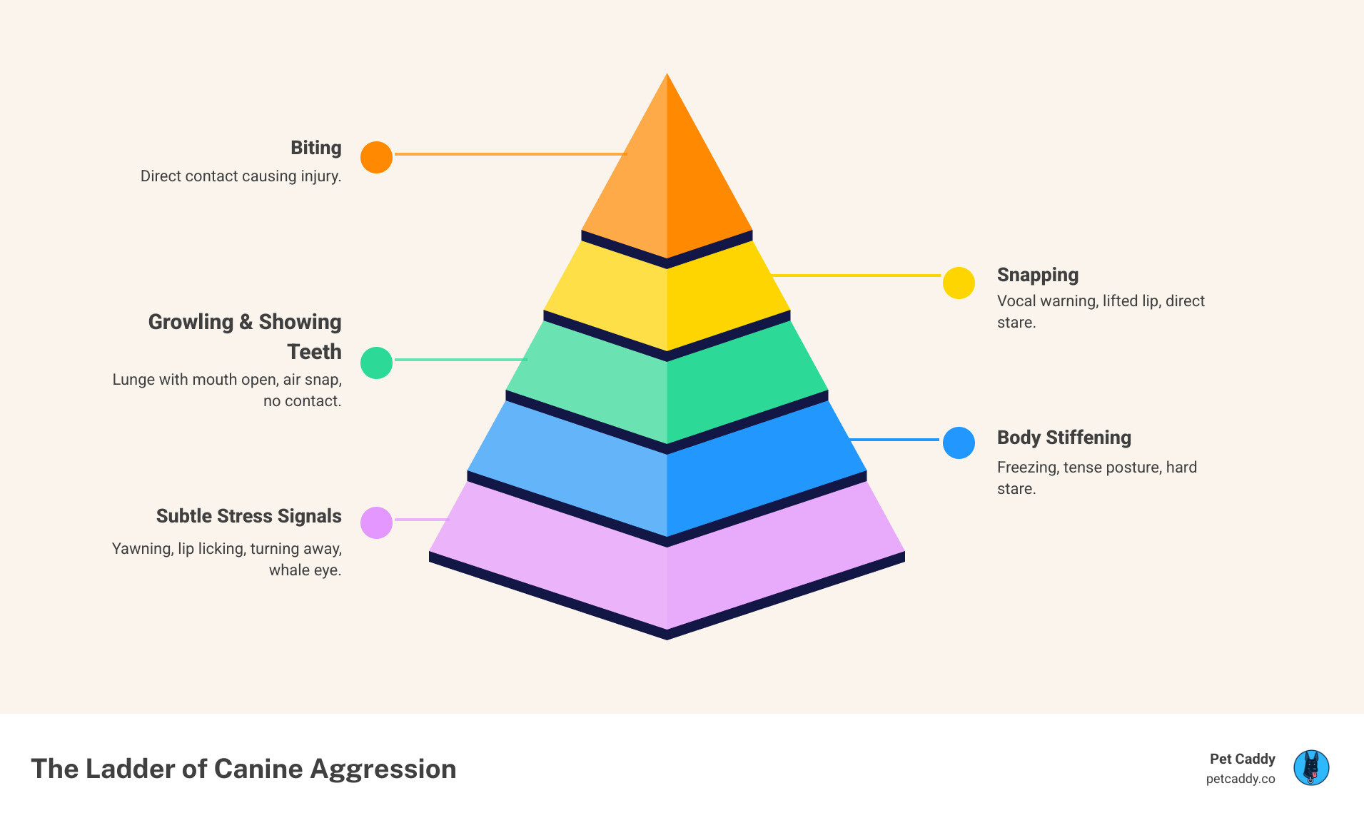 infographic showing the ladder of canine aggression starting with subtle stress signals like yawning, lip licking, and turning away, progressing through body stiffening, growling, showing teeth, snapping, and finally biting at the top - behavior modification for aggressive dogs infographic pyramid-hierarchy-5-steps infographic showing the ladder of canine aggression starting with subtle stress signals like yawning, lip licking, and turning away, progressing through body stiffening, growling, showing teeth, snapping, and finally biting at the top - behavior modification for aggressive dogs infographic pyramid-hierarchy-5-steps