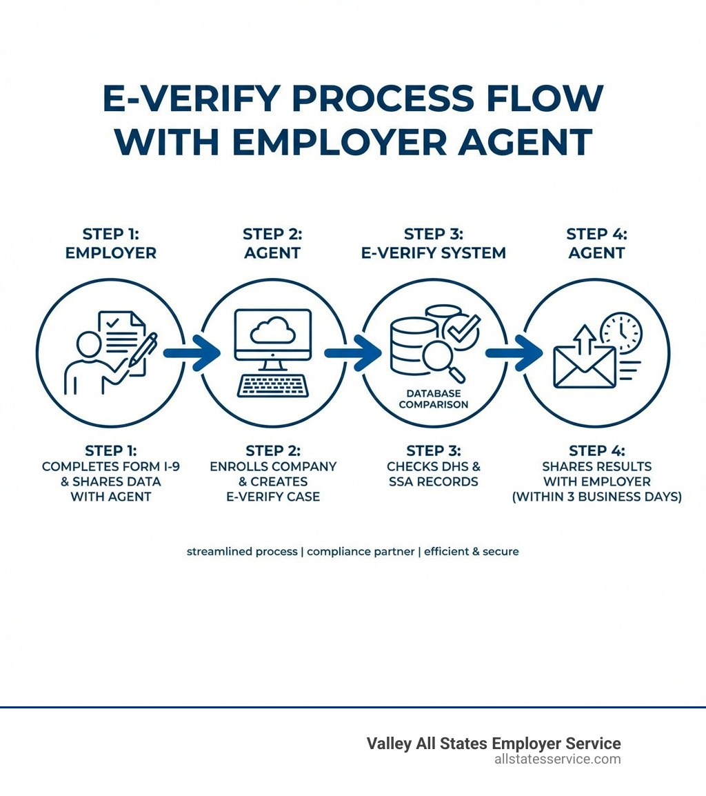 Infographic showing the E-Verify process flow: Employer completes Form I-9 and provides data to agent, Agent enrolls company and creates E-Verify case, E-Verify compares data with DHS and SSA records, Agent communicates results back to employer within 3 business days, with icons showing document review, database checking, and communication steps - using an e-verify employer agent infographic Infographic showing the E-Verify process flow: Employer completes Form I-9 and provides data to agent, Agent enrolls company and creates E-Verify case, E-Verify compares data with DHS and SSA records, Agent communicates results back to employer within 3 business days, with icons showing document review, database checking, and communication steps - using an e-verify employer agent infographic