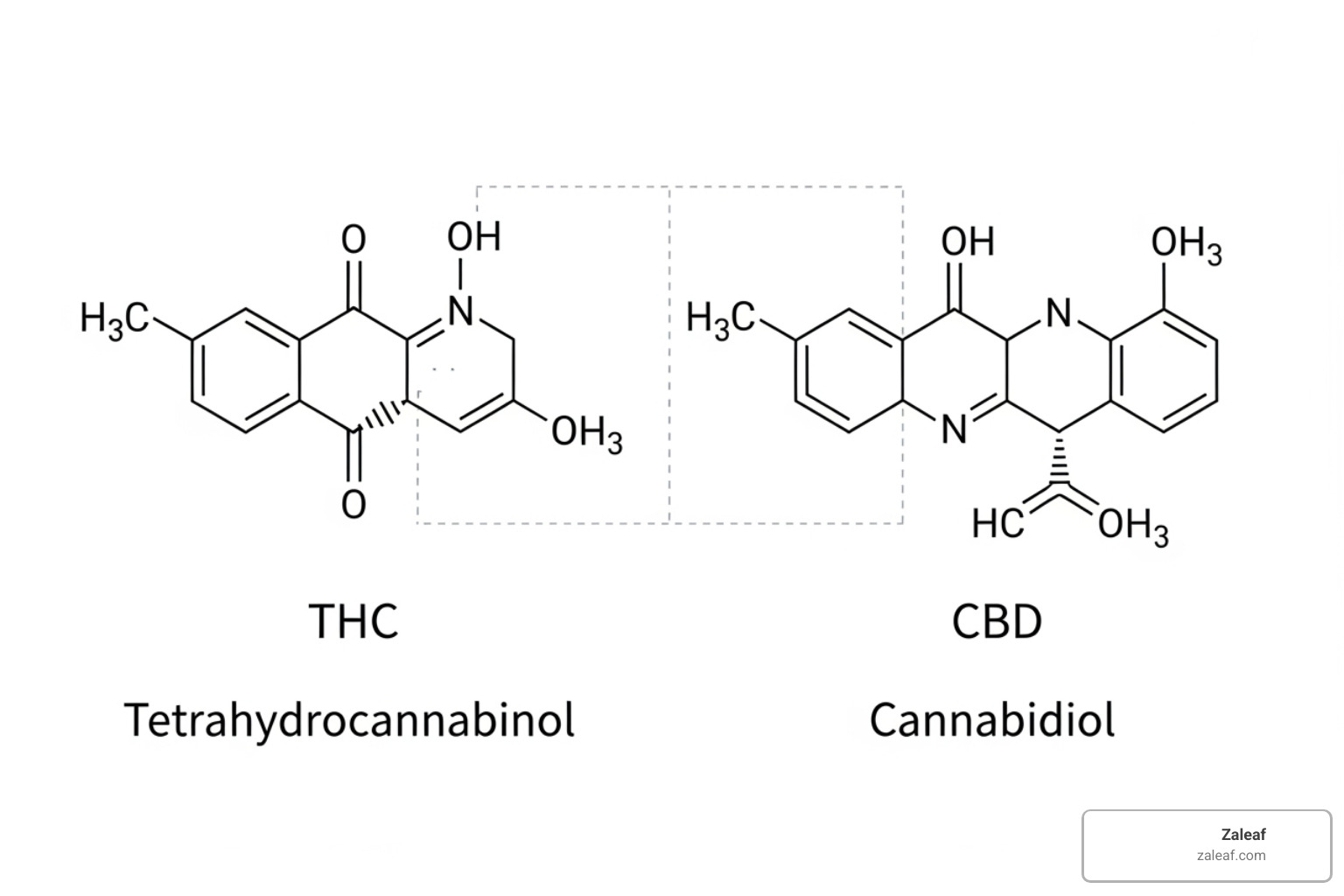 chemical structures of THC and CBD - cannabis for anxiety chemical structures of THC and CBD - cannabis for anxiety