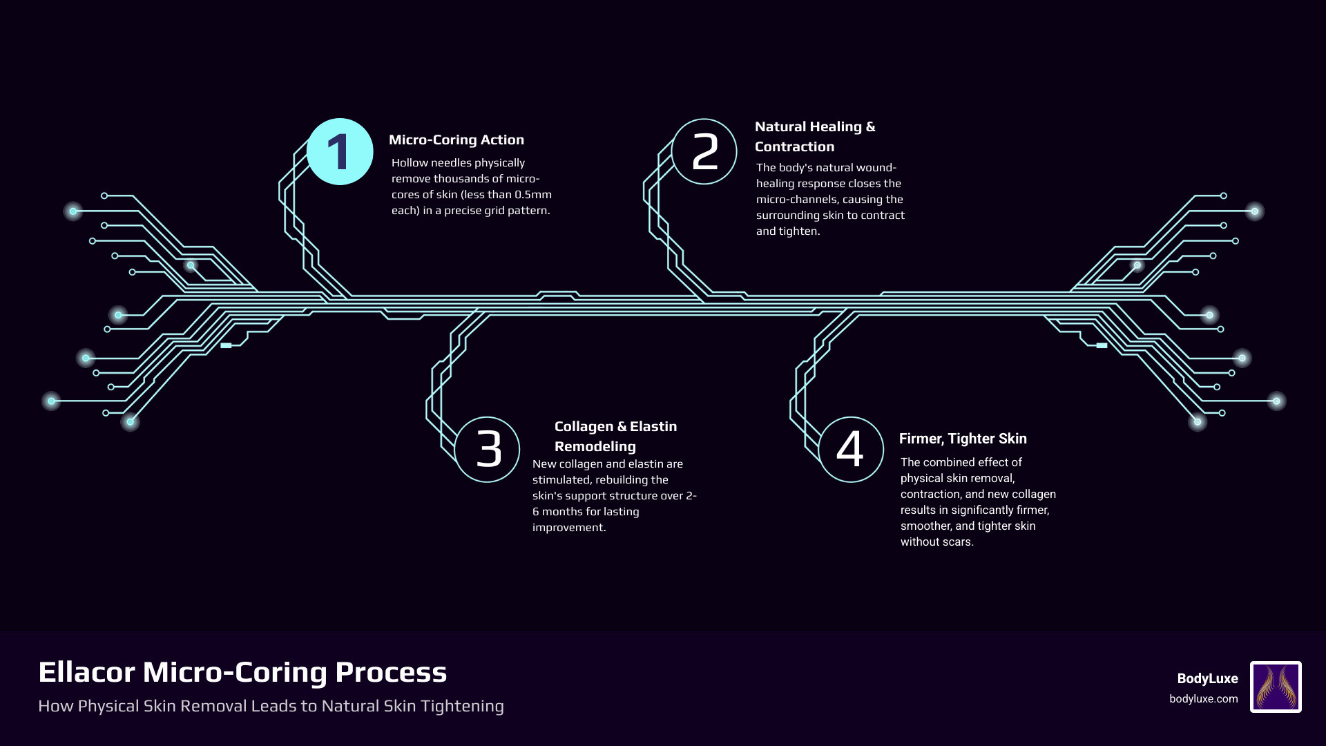 Infographic showing the Ellacor micro-coring process: hollow needles remove tiny skin cores in a grid pattern, skin contracts and heals without scarring, collagen production increases over 2-6 months, resulting in firmer, tighter skin - Ellacor for Neck & Body Tightening infographic infographic-4-steps-tech Infographic showing the Ellacor micro-coring process: hollow needles remove tiny skin cores in a grid pattern, skin contracts and heals without scarring, collagen production increases over 2-6 months, resulting in firmer, tighter skin - Ellacor for Neck & Body Tightening infographic infographic-4-steps-tech
