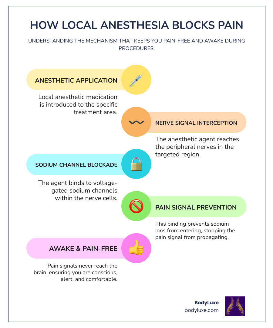 infographic showing how local anesthesia blocks nerve signals: anesthetic agent binds to sodium channels in peripheral nerves, preventing pain signals from traveling to the brain while patient remains fully conscious and alert - Why local anesthesia? infographic infographic-line-5-steps-colors infographic showing how local anesthesia blocks nerve signals: anesthetic agent binds to sodium channels in peripheral nerves, preventing pain signals from traveling to the brain while patient remains fully conscious and alert - Why local anesthesia? infographic infographic-line-5-steps-colors
