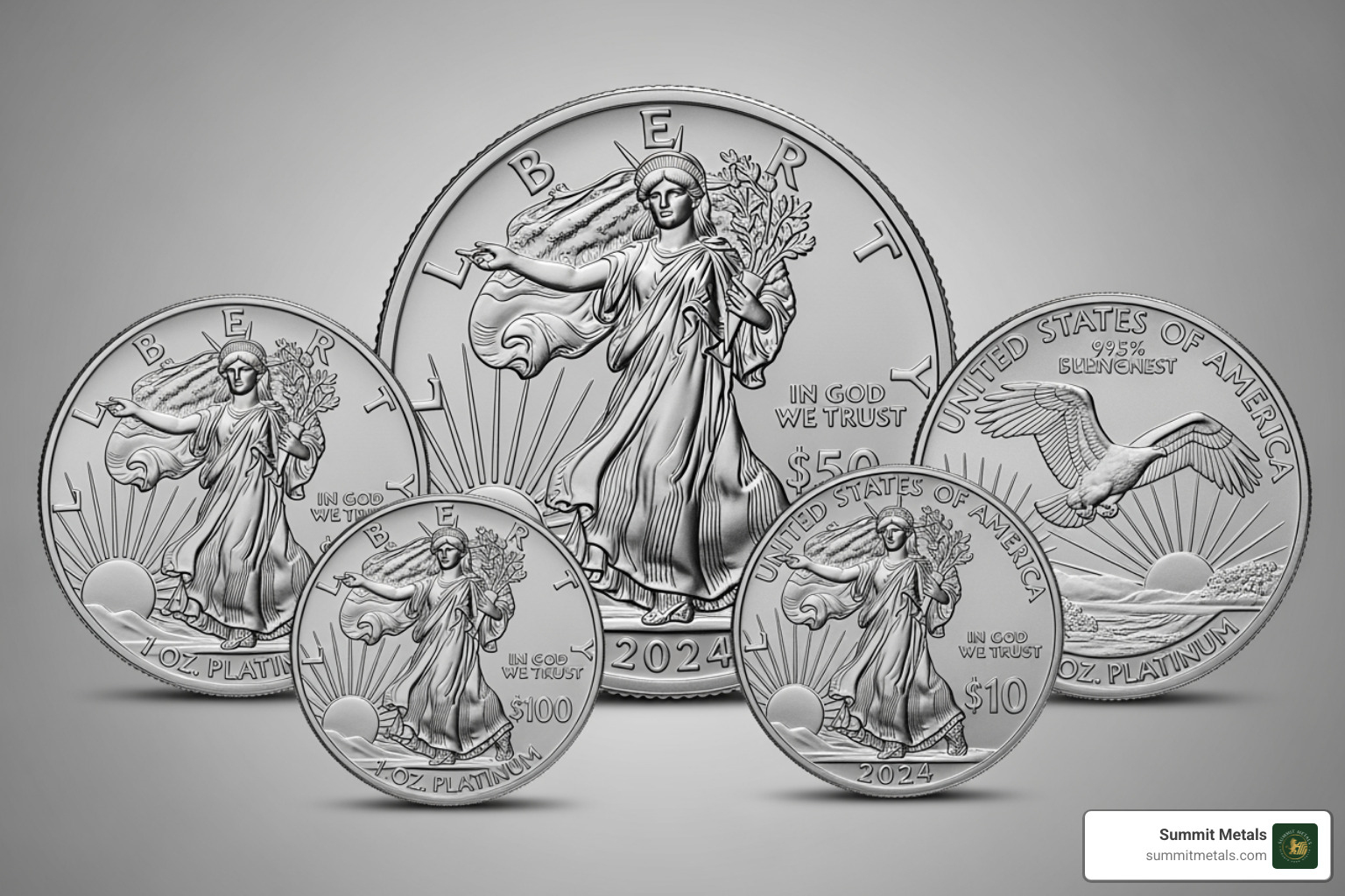 American Platinum Eagle fractional sizes - american platinum eagle