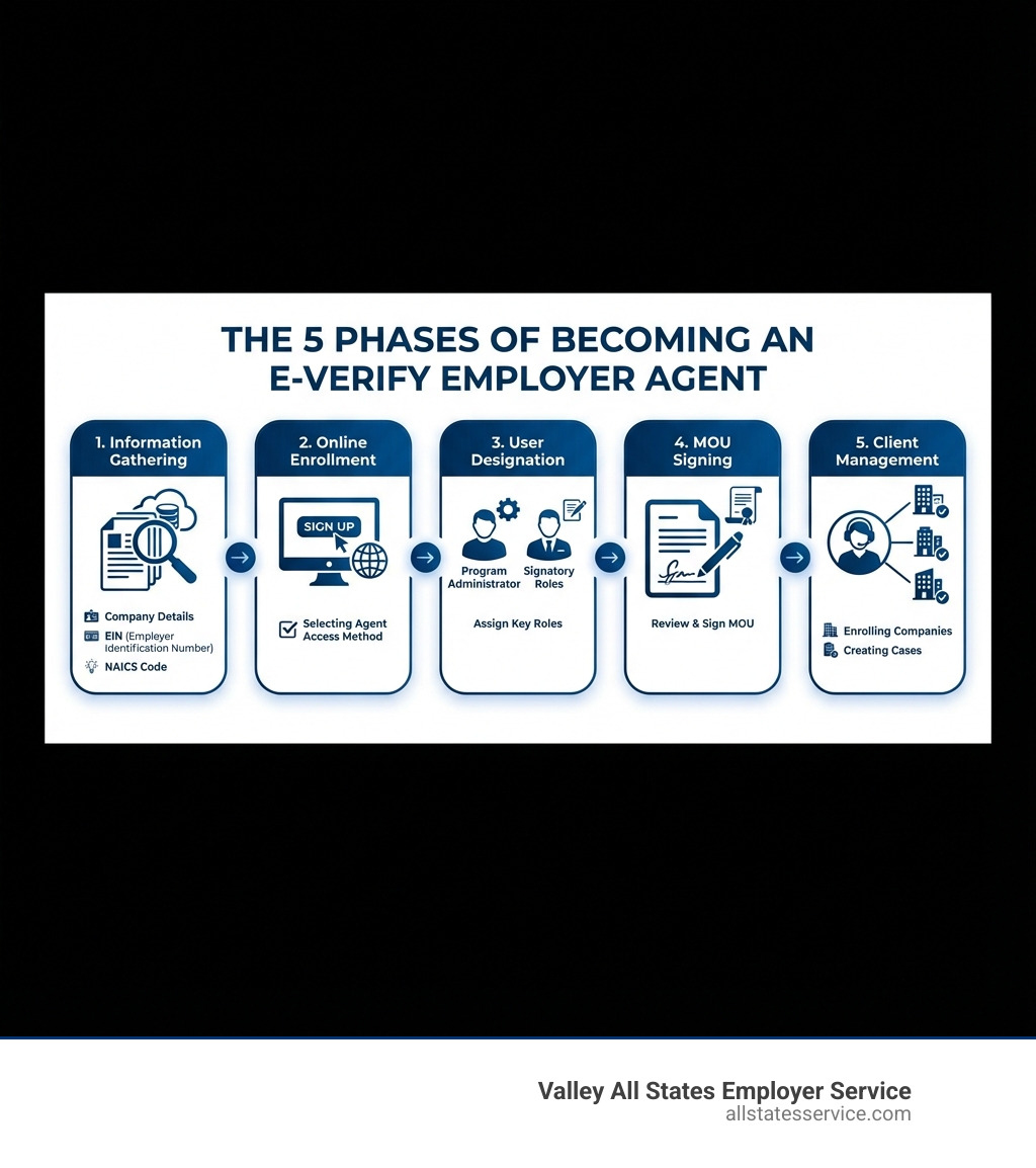 Step-by-step infographic showing the five main phases of becoming an E-Verify Employer Agent: 1) Information Gathering (company details, EIN, NAICS code), 2) Online Enrollment (selecting agent access method), 3) User Designation (Program Administrator and Signatory roles), 4) MOU Signing (legal agreement), and 5) Client Management (enrolling companies and creating cases) - how to become an e verify employer agent infographic 