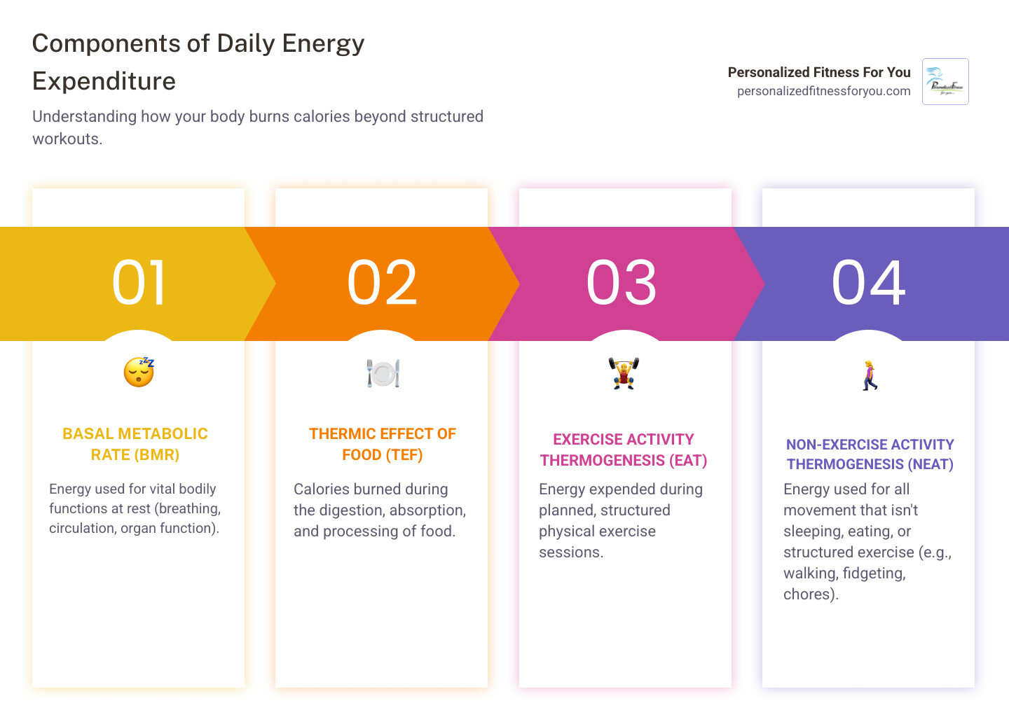 diagram showing the four components of total daily energy expenditure: BMR, TEF, Exercise, and NEAT - NEAT diagram showing the four components of total daily energy expenditure: BMR, TEF, Exercise, and NEAT - NEAT