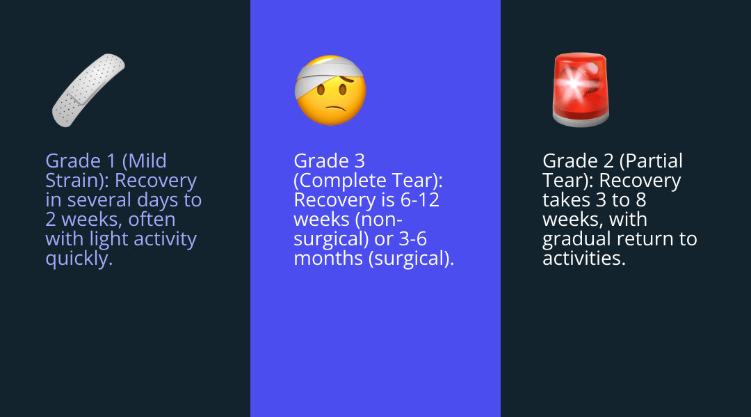 Infographic showing three grades of hamstring tears with recovery timelines: Grade 1 shows microscopic tears with 1-2 week recovery, Grade 2 shows partial muscle tear with 3-8 week recovery, and Grade 3 shows complete tear with 3-6 month recovery after surgery - torn hamstring muscle recovery time infographic 3_facts_emoji_blue