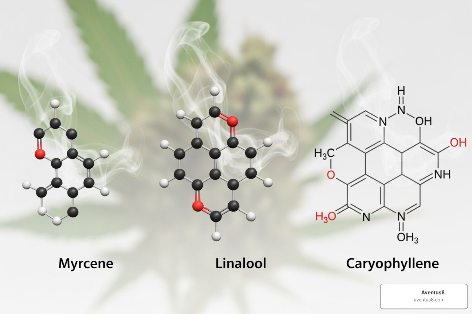 cannabis terpenes molecules - Indica vape for sleep