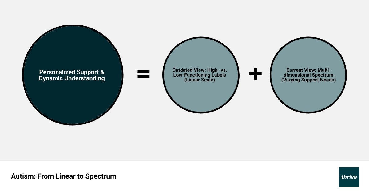 Infographic showing autism as a multi-dimensional spectrum with different areas like social communication, sensory processing, executive function, and repetitive behaviors, each with varying levels of support needs, contrasted against the outdated linear "high-functioning" to "low-functioning" model - autism levels infographic sum_of_parts