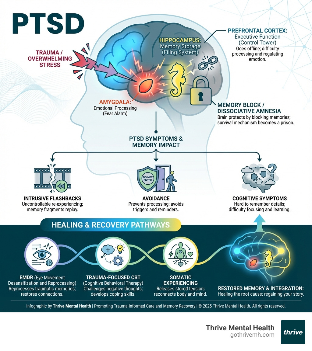infographic showing how trauma impacts memory - Find mental health professionals in Florida who treat trauma-related memory loss. infographic 