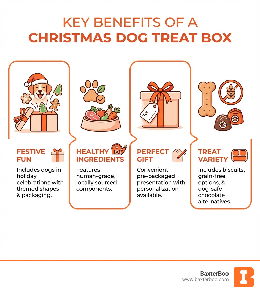 Infographic showing the key benefits of a Christmas dog treat box: Festive Fun for including dogs in holiday celebrations with themed shapes and packaging; Healthy Ingredients featuring human-grade, locally sourced components; Perfect Gift option with personalization available and convenient pre-packaged presentation; Treat Variety including biscuits, grain-free options, and dog-safe chocolate alternatives - christmas dog treat box infographic Infographic showing the key benefits of a Christmas dog treat box: Festive Fun for including dogs in holiday celebrations with themed shapes and packaging; Healthy Ingredients featuring human-grade, locally sourced components; Perfect Gift option with personalization available and convenient pre-packaged presentation; Treat Variety including biscuits, grain-free options, and dog-safe chocolate alternatives - christmas dog treat box infographic