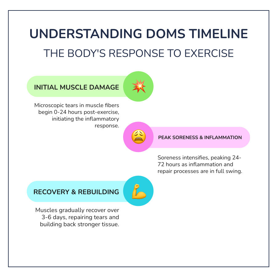 infographic showing DOMS timeline: 0-12 hours after exercise - microscopic tears begin, 12-24 hours - inflammation starts and soreness appears, 24-72 hours - peak soreness period, 3-6 days - gradual recovery and muscle rebuilding - How to reduce muscle soreness? infographic infographic-line-3-steps-colors