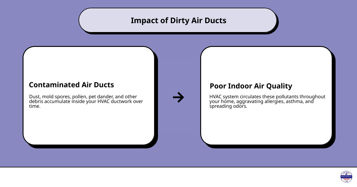 infographic showing dust allergens and contaminants circulating through home air ducts and hvac system with arrows indicating airflow - air duct cleaning suffolk county infographic cause_effect_text